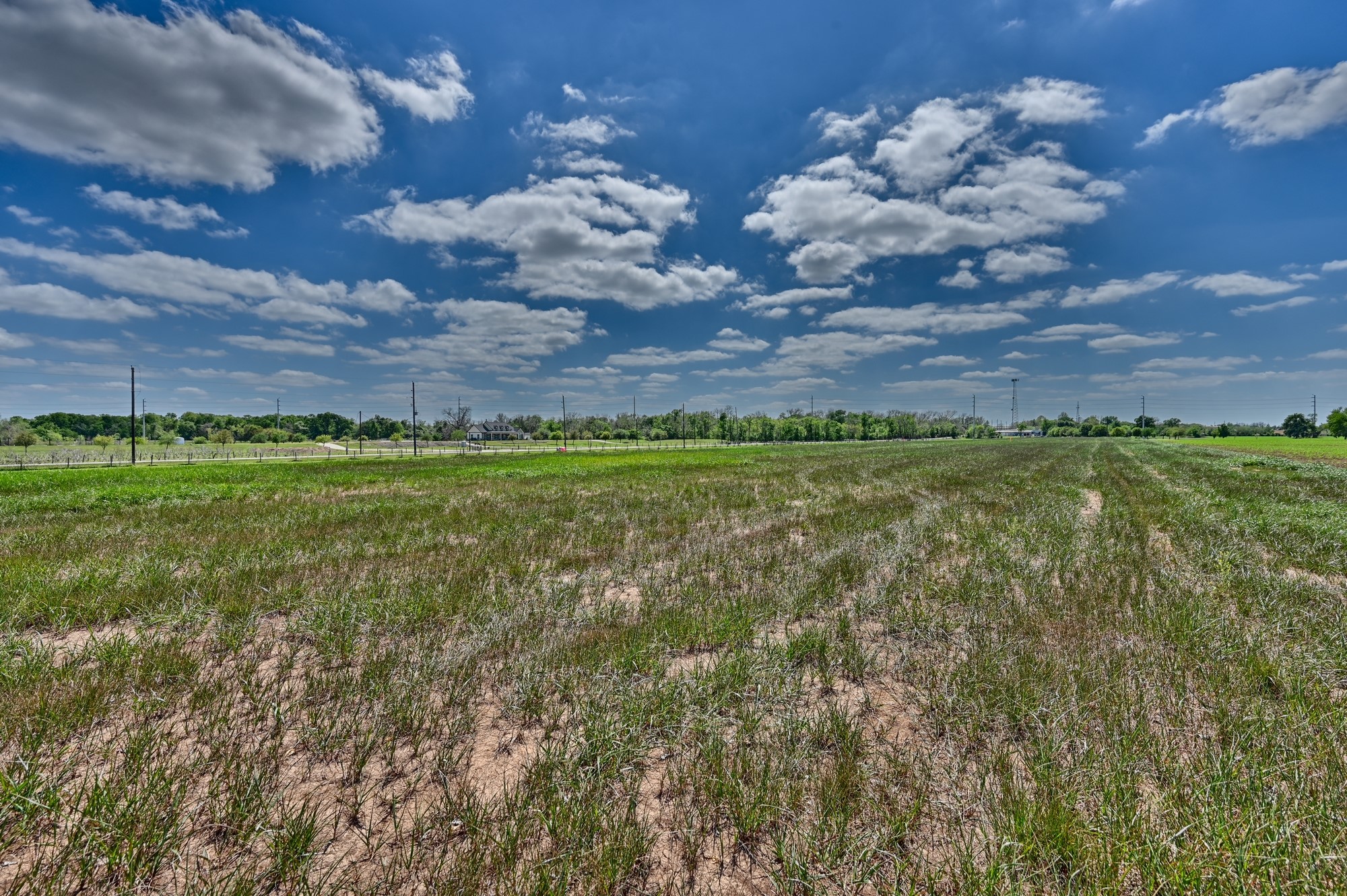 0 Bartlett Road Sealy, TX 77474 - Photo 14 of 14 a view of a field with a big yard