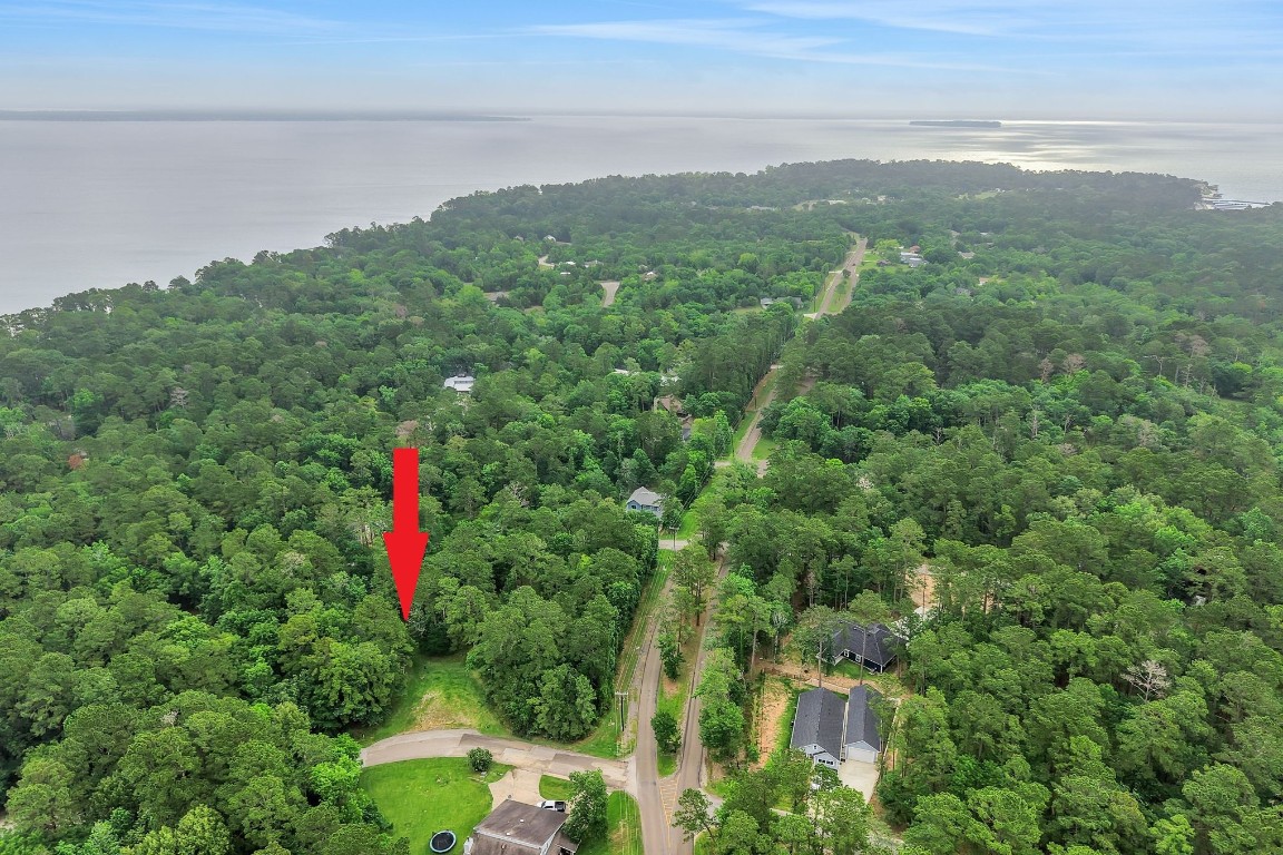 14 North Fairway Loop Coldspring, TX 77331 - Photo 6 of 38 Located in the Lake Livingston community of Cape Royale