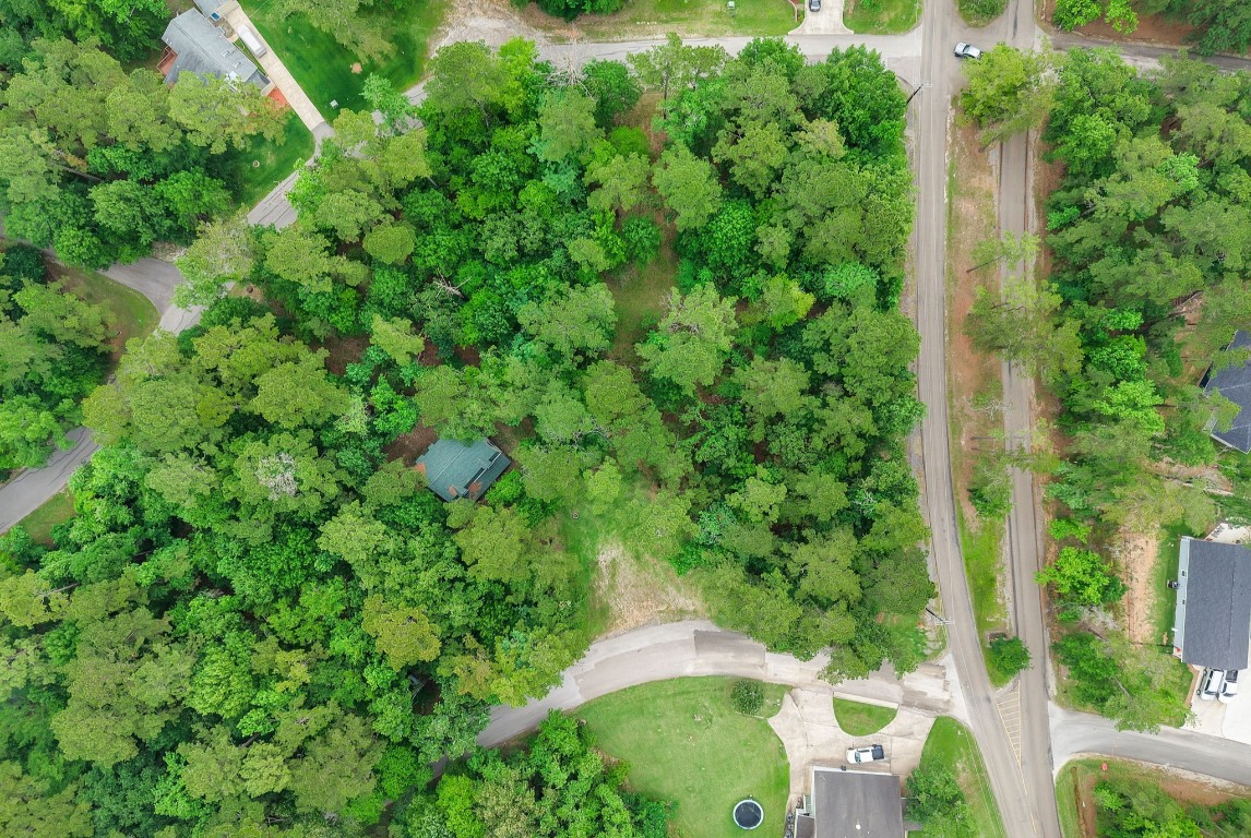 14 North Fairway Loop Coldspring, TX 77331 - Photo 7 of 38 View of the home from above