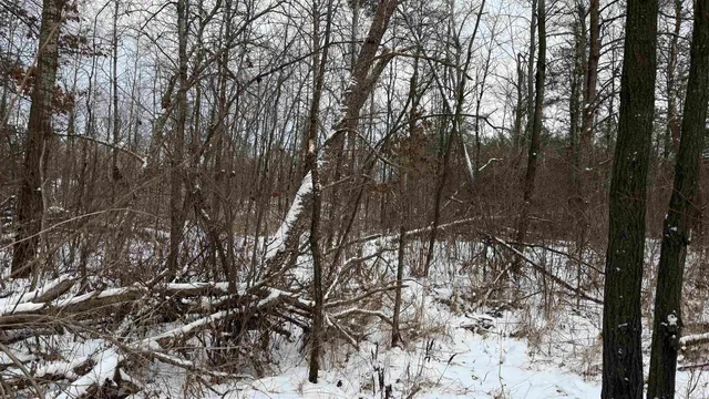 $35,000 | 1.50-acres 1.50-acres Retirement, Necedah, WI 54646