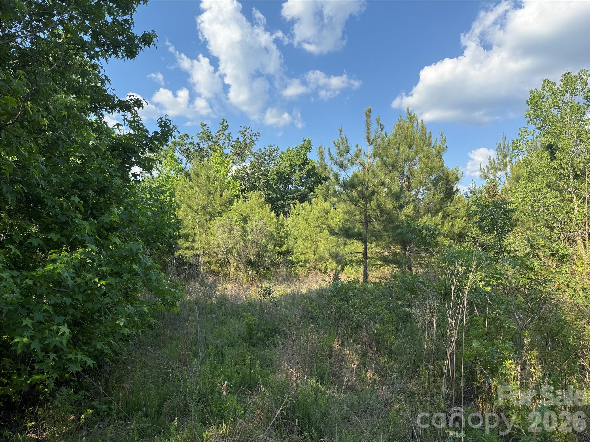 Tbd Murray Manor Lane Rockingham, NC 28379 - Photo 15 of 20
