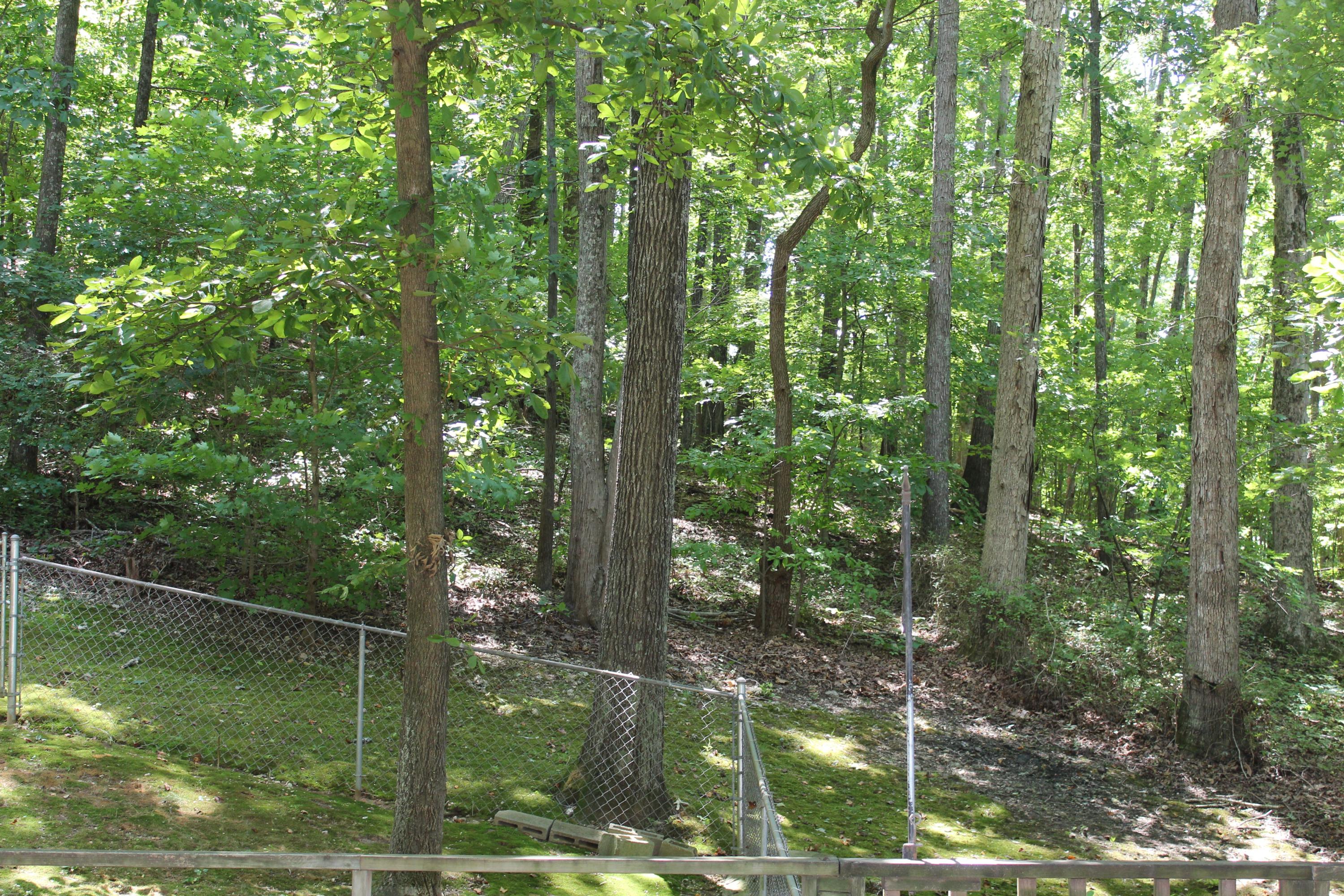 153 McMurray Road Kingston, TN 37763 - Photo 15 of 27 IMG_5998