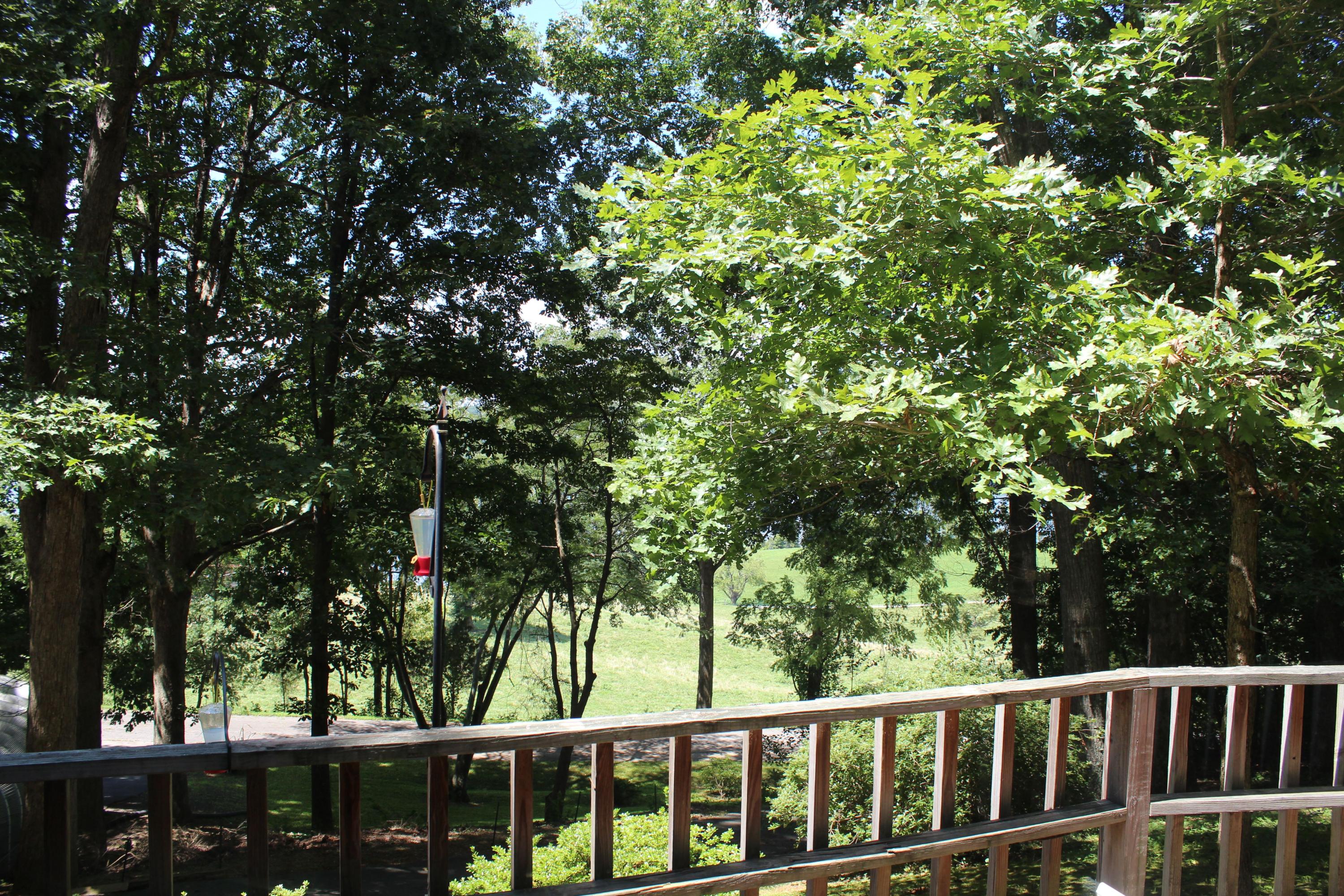 153 McMurray Road Kingston, TN 37763 - Photo 16 of 27 IMG_6047