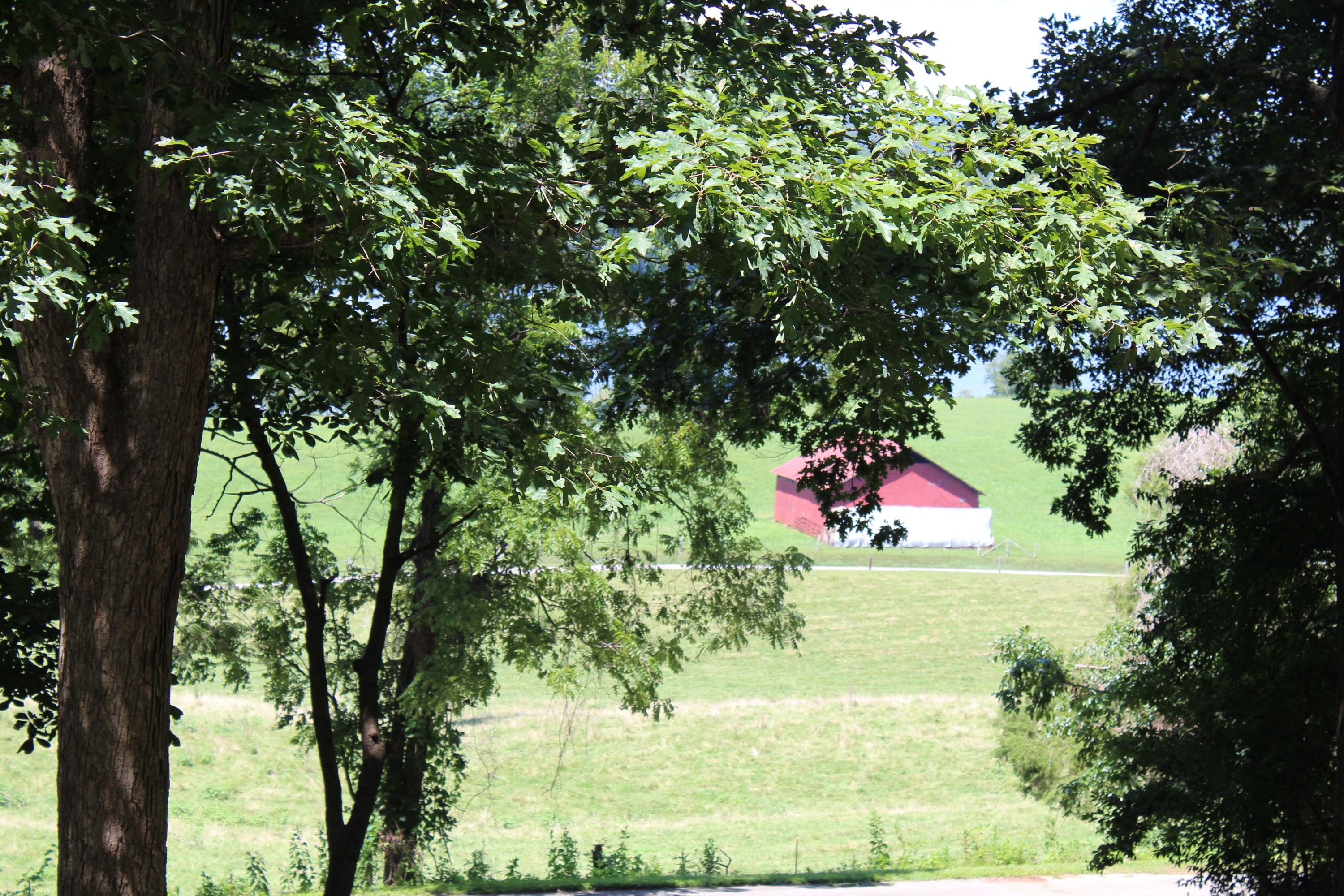 153 McMurray Road Kingston, TN 37763 - Photo 18 of 27 IMG_6008