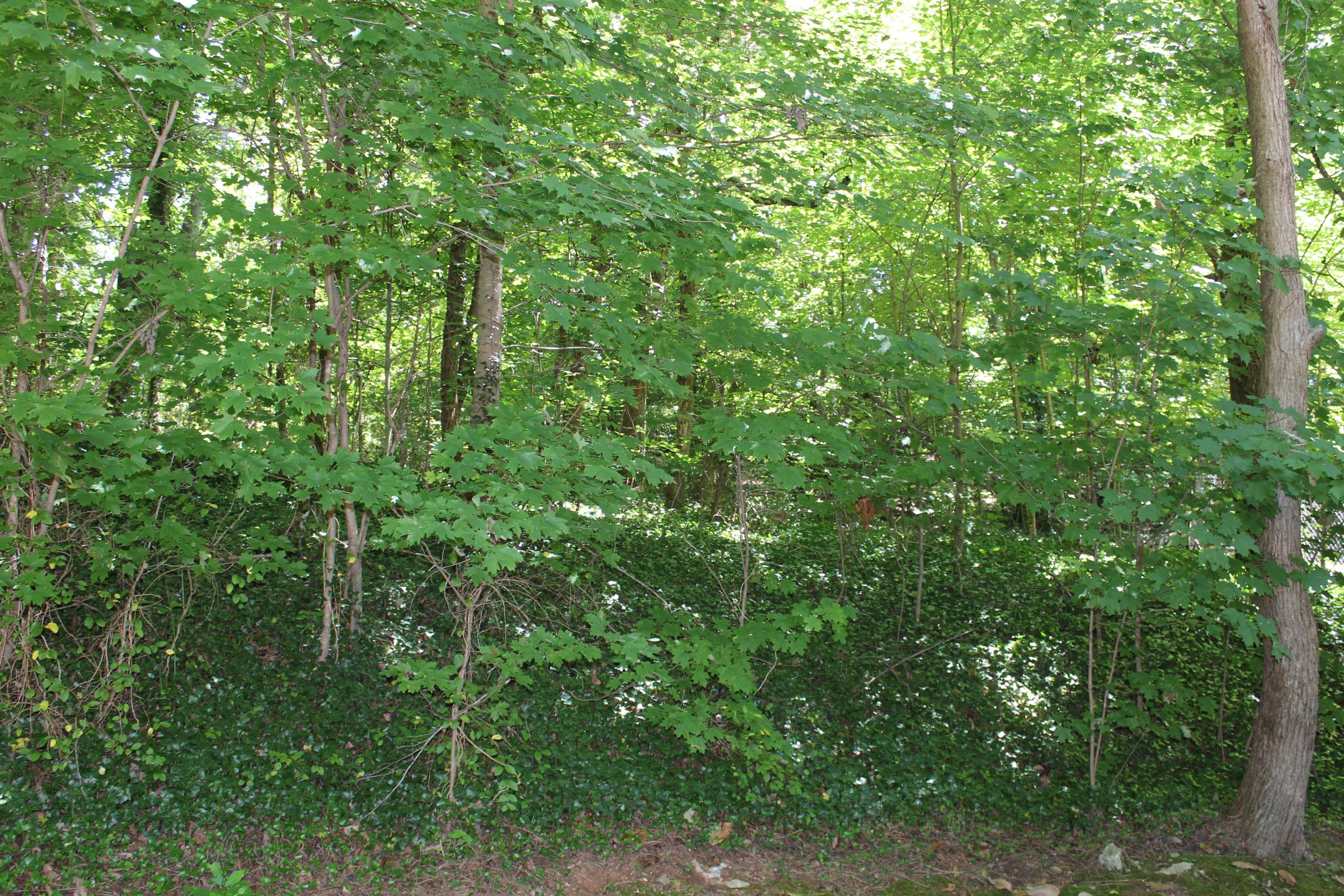 153 McMurray Road Kingston, TN 37763 - Photo 24 of 27 IMG_6058