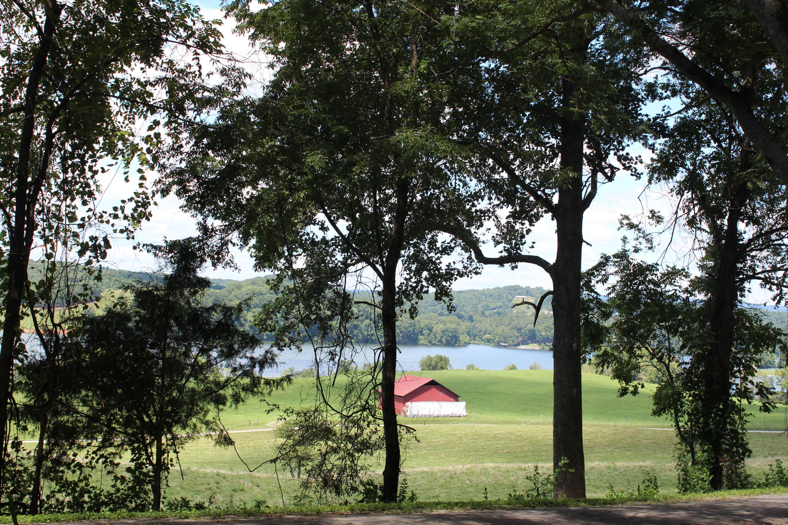 153 McMurray Road Kingston, TN 37763 - Photo 7 of 27 IMG_5987