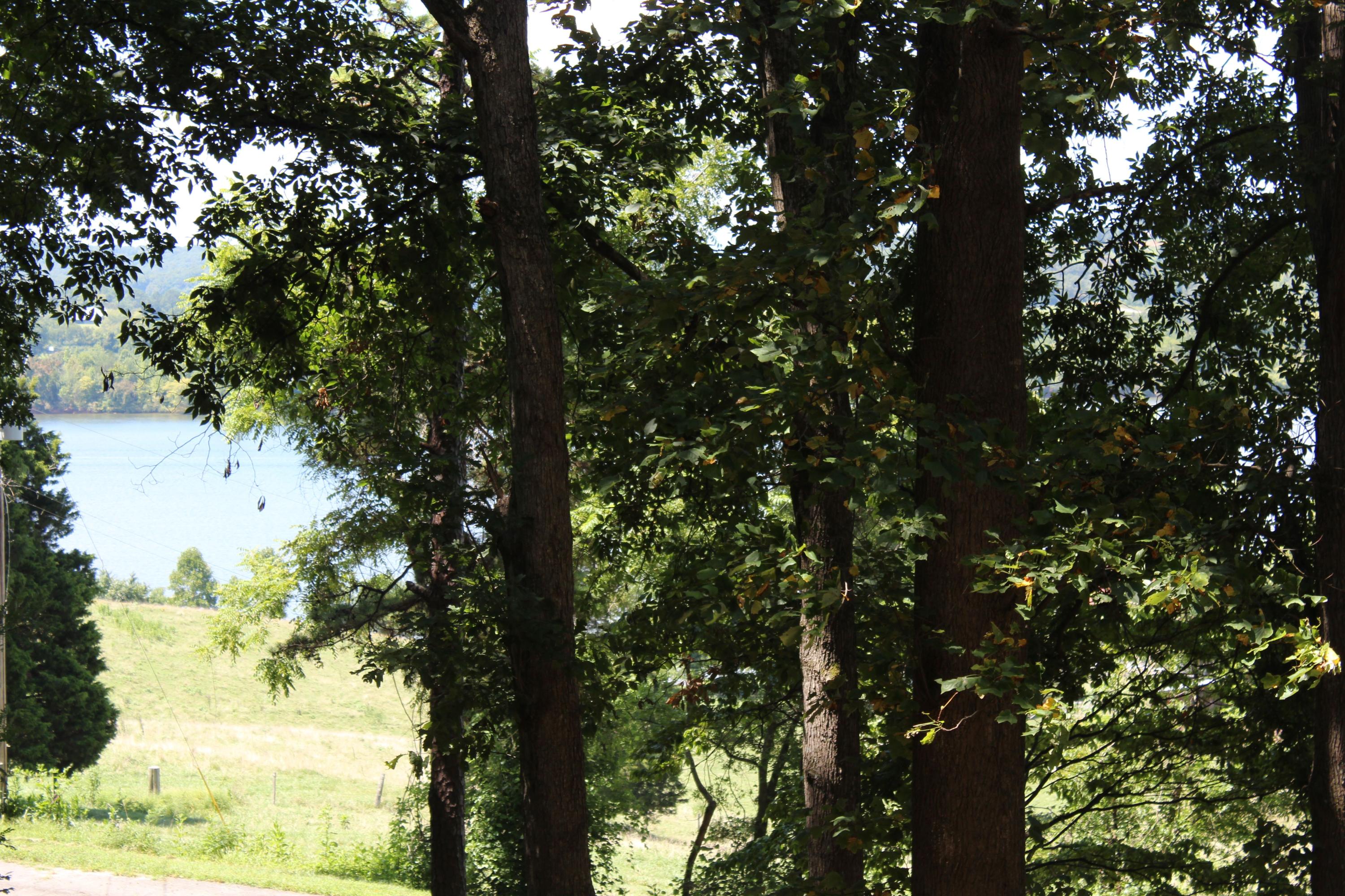 153 McMurray Road Kingston, TN 37763 - Photo 8 of 27 IMG_6001