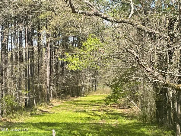 $459,000 | 13137 Old Port Gibson Road, Utica, MS 39175