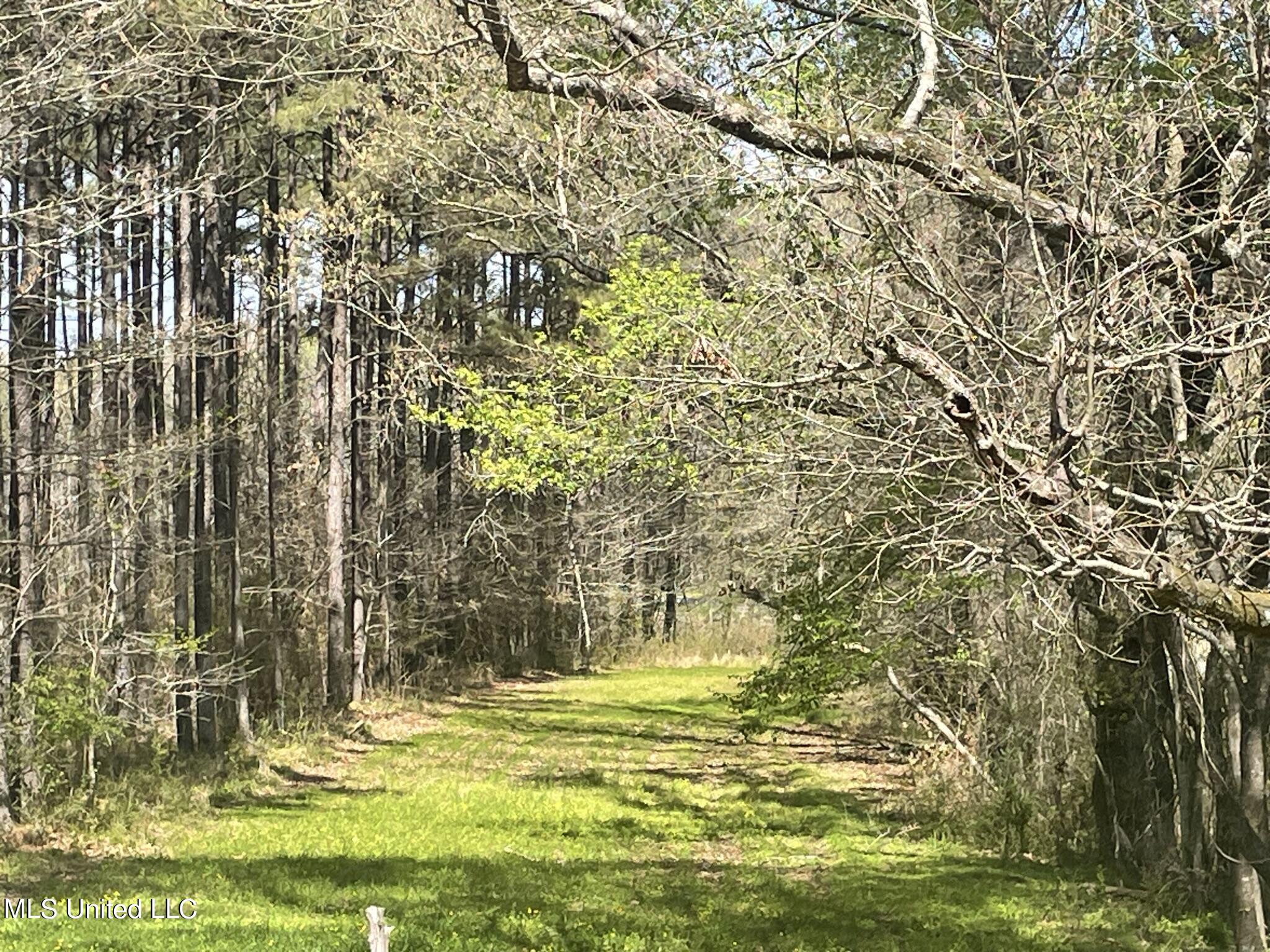 13137 Old Port Gibson Road Utica, MS 39175 - Photo 18 of 29 13137 Claiborne field open