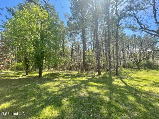 $459,000 | 13137 Old Port Gibson Road, Utica, MS 39175