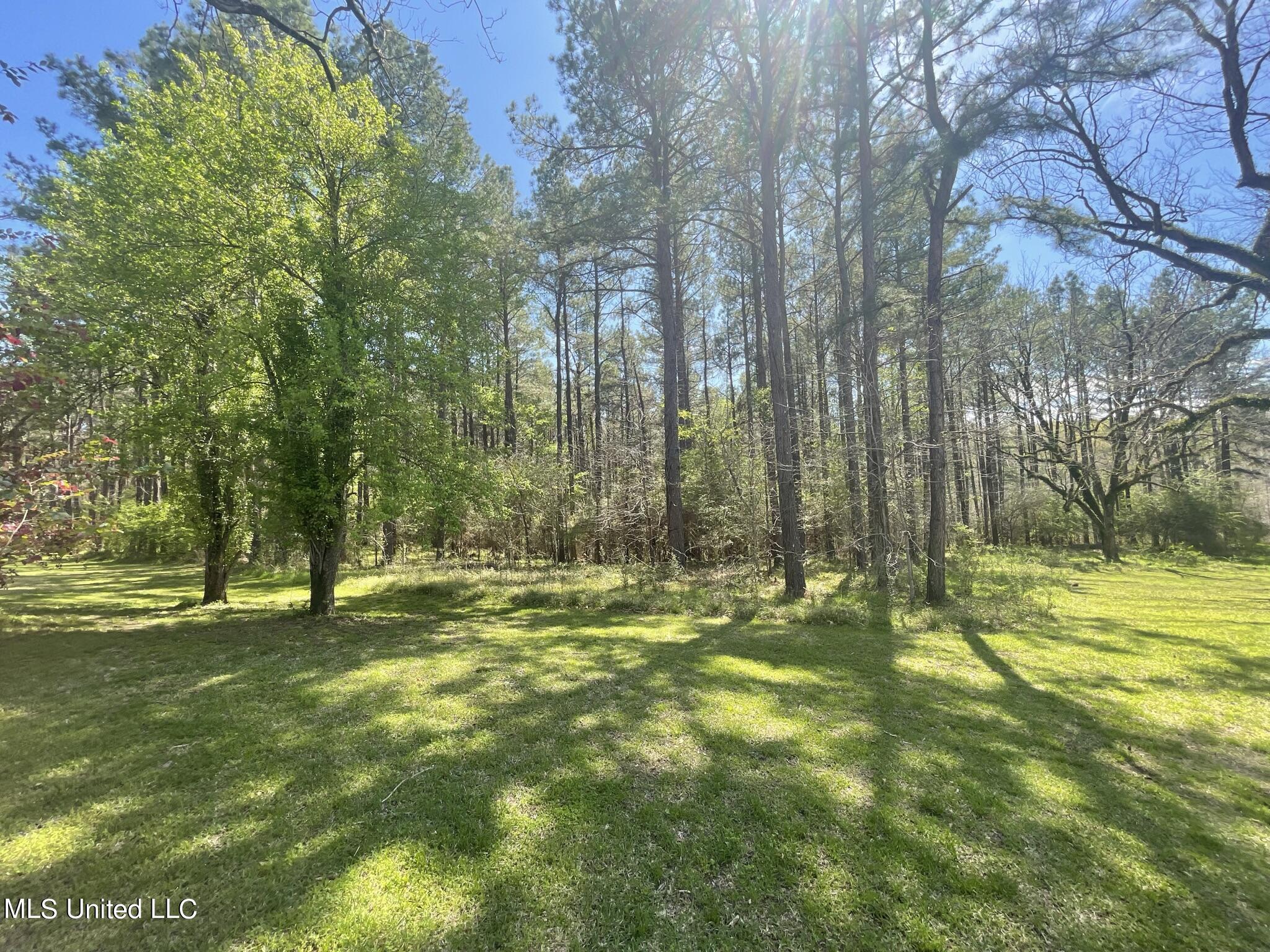 13137 Old Port Gibson Road Utica, MS 39175 - Photo 19 of 29 13137 Claiborne Open view yard