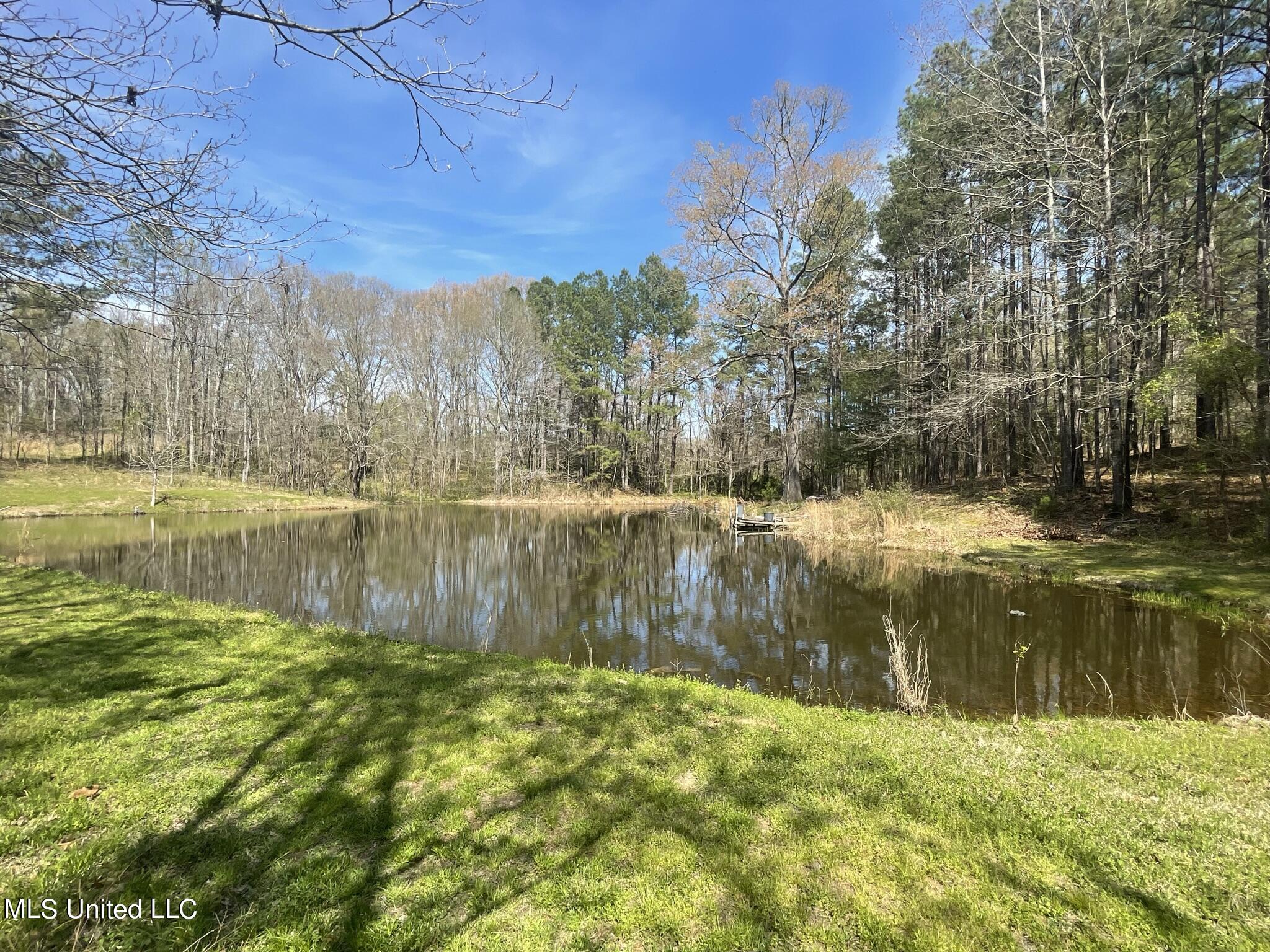 13137 Old Port Gibson Road Utica, MS 39175 - Photo 20 of 29 13137 Claiborne Pond #1