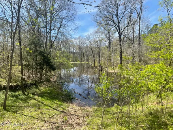 $459,000 | 13137 Old Port Gibson Road, Utica, MS 39175