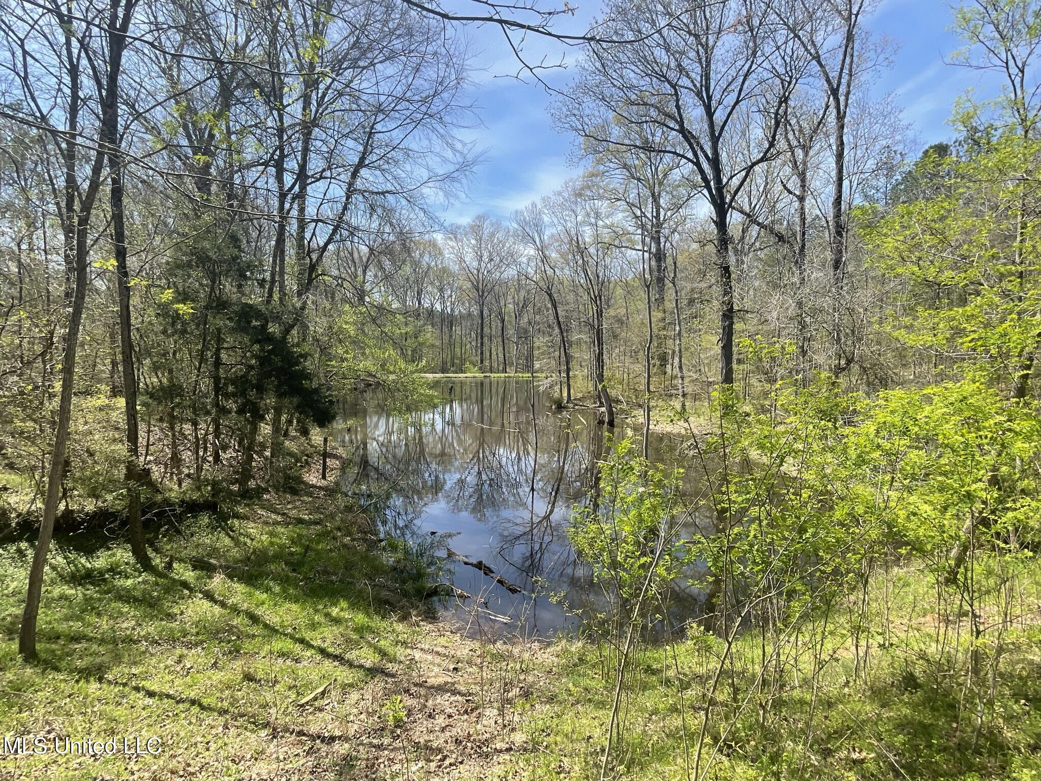 13137 Old Port Gibson Road Utica, MS 39175 - Photo 21 of 29 13137 Claiborne Pond #2