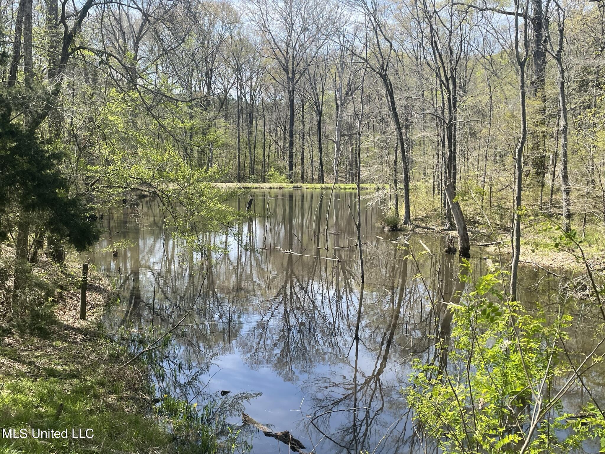13137 Old Port Gibson Road Utica, MS 39175 - Photo 22 of 29 13137 Claiborne Pond #3
