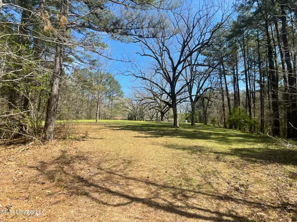 $459,000 | 13137 Old Port Gibson Road, Utica, MS 39175