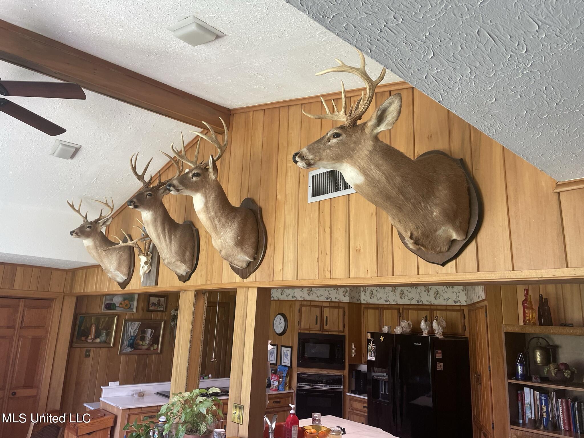 13137 Old Port Gibson Road Utica, MS 39175 - Photo 6 of 29 13137 Claiborne deer den