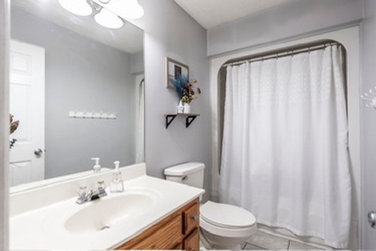 1251 Smith Thompson Road Bethpage, TN 37022 - Photo 42 of 71 a bathroom with a sink a toilet and shower curtain