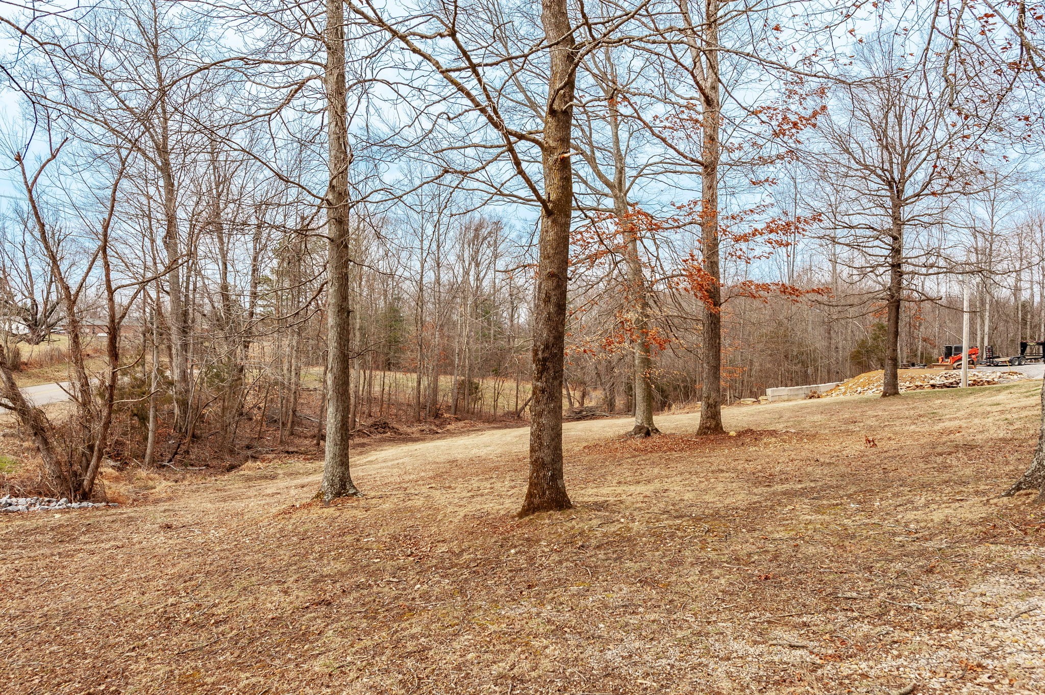 1251 Smith Thompson Road Bethpage, TN 37022 - Photo 64 of 71