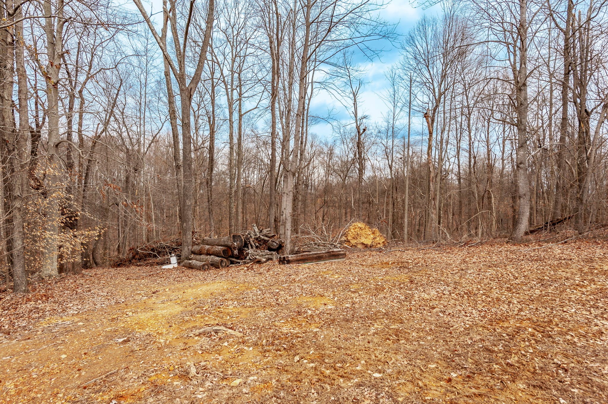 1251 Smith Thompson Road Bethpage, TN 37022 - Photo 65 of 71