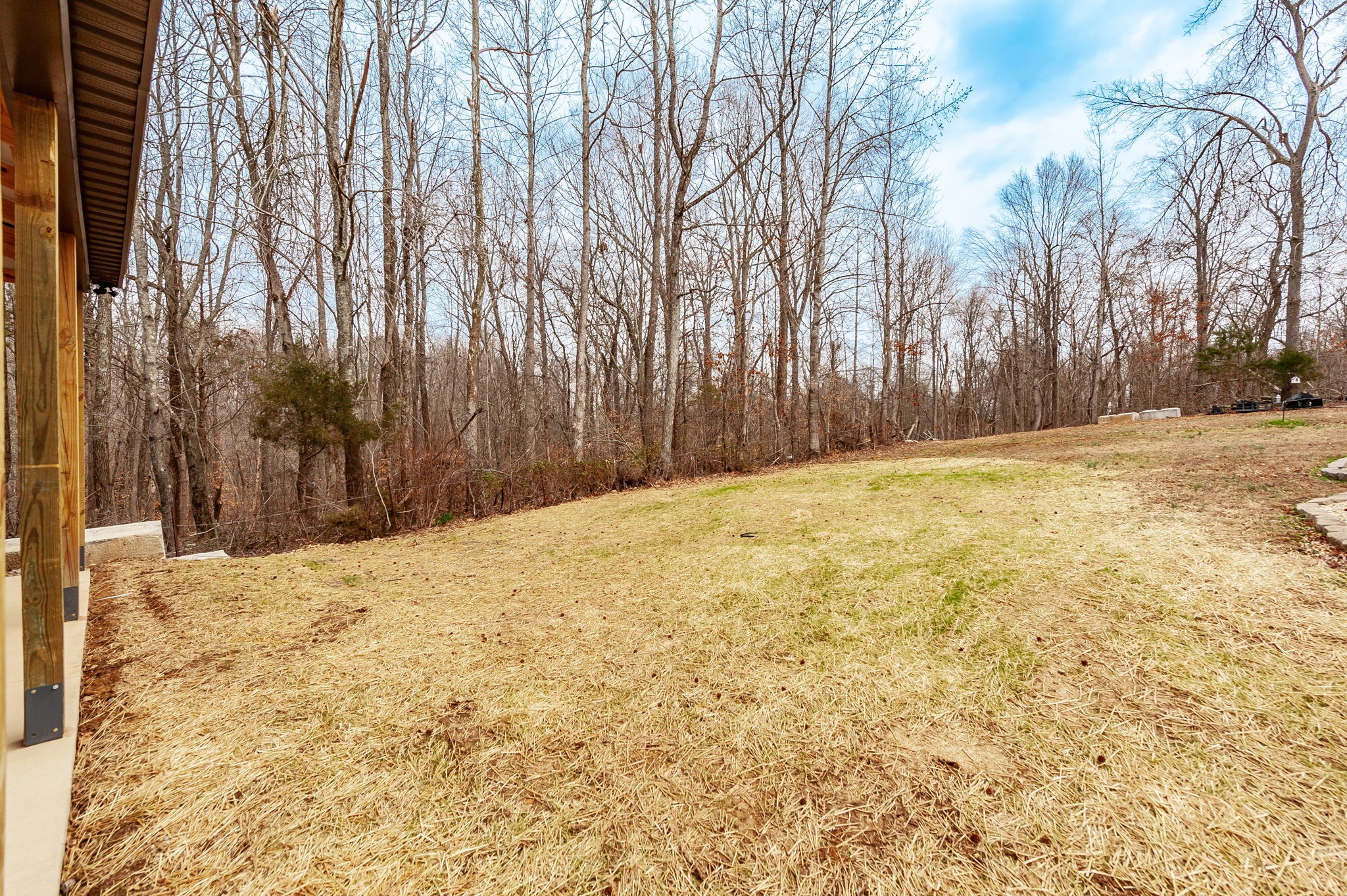 1251 Smith Thompson Road Bethpage, TN 37022 - Photo 66 of 71 a view of a yard with trees in front of it