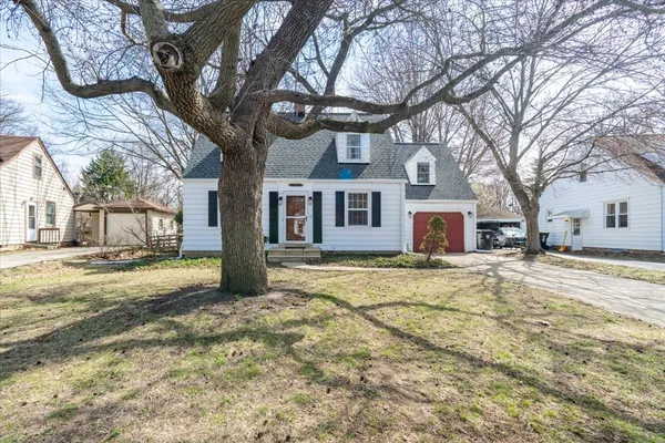 a view of a yard with a large tree