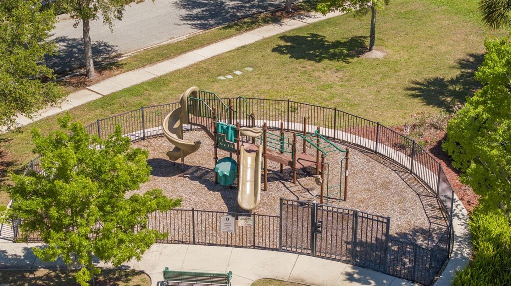 13790 Ingelnook Drive Windermere, FL 34786 - Photo 10 of 43