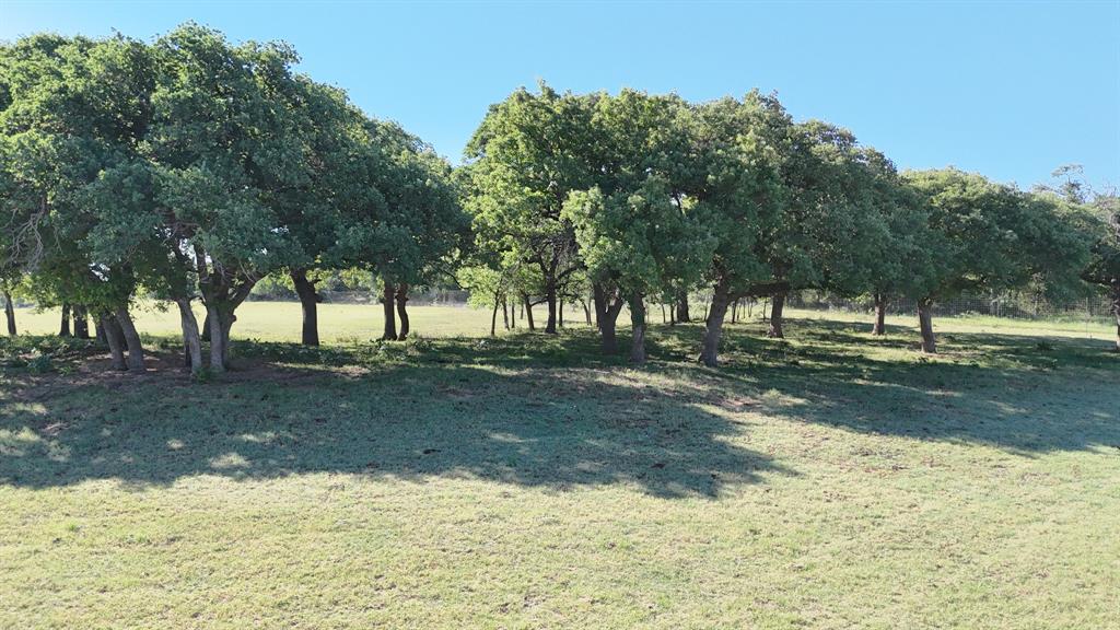 323 County Road 323 Comanche, TX 76442 - Photo 10 of 13 a view of a yard with a tree
