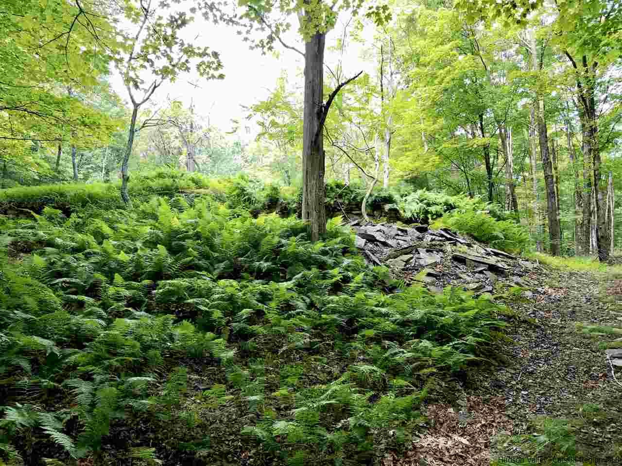 Tbd Tbd Tbd Valley Stone Ridge, NY 12484 - Photo 3 of 23 Photo 3