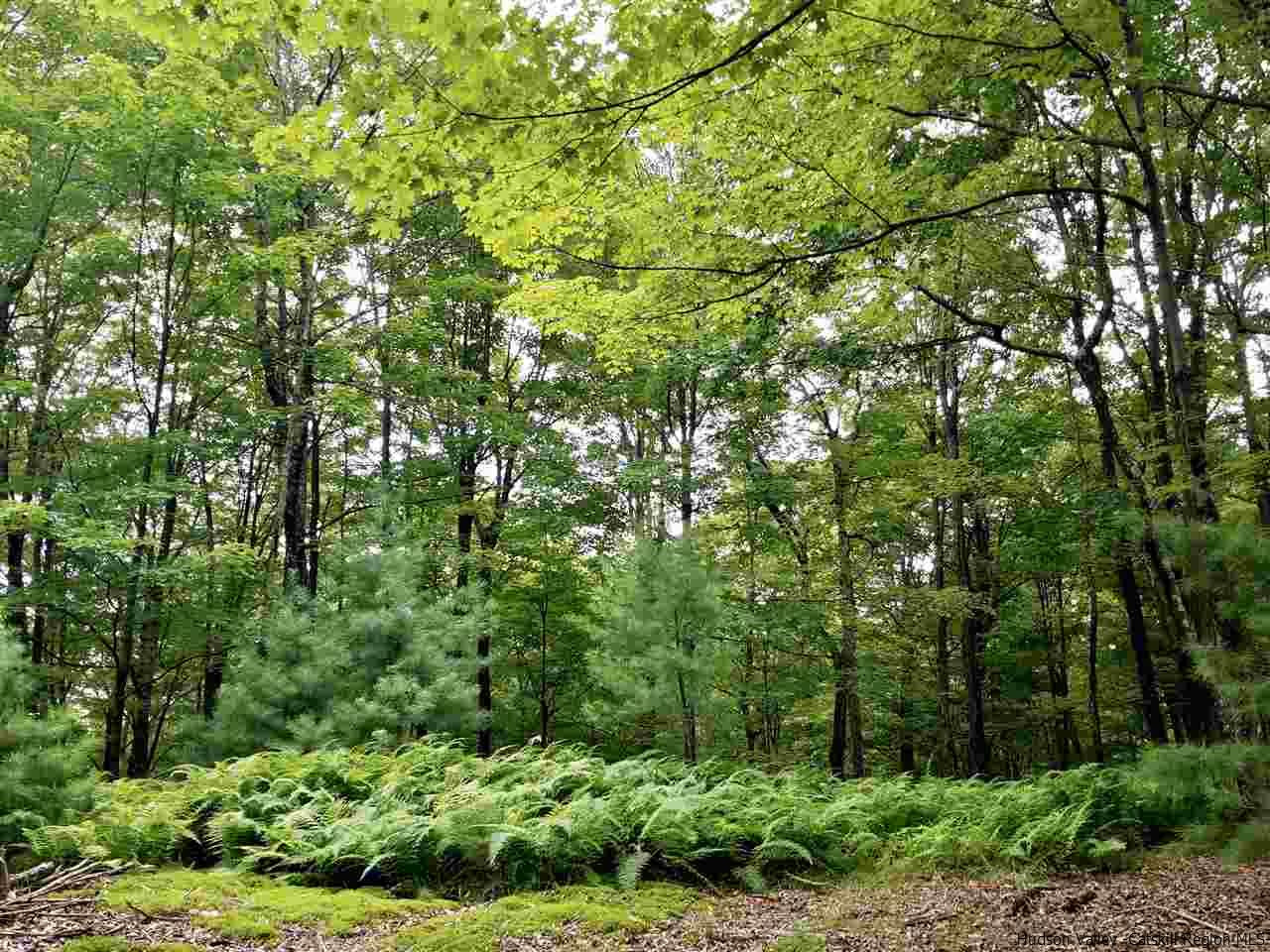 Tbd Tbd Tbd Valley Stone Ridge, NY 12484 - Photo 8 of 23 Photo 8