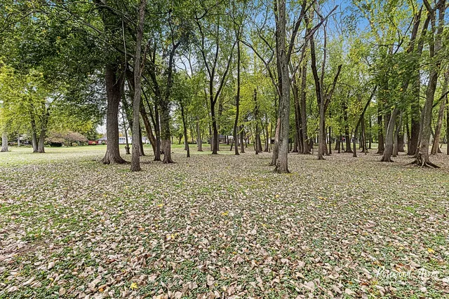 a view of outdoor space with deck and trees