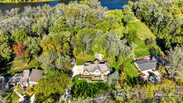 a view of a garden with plants