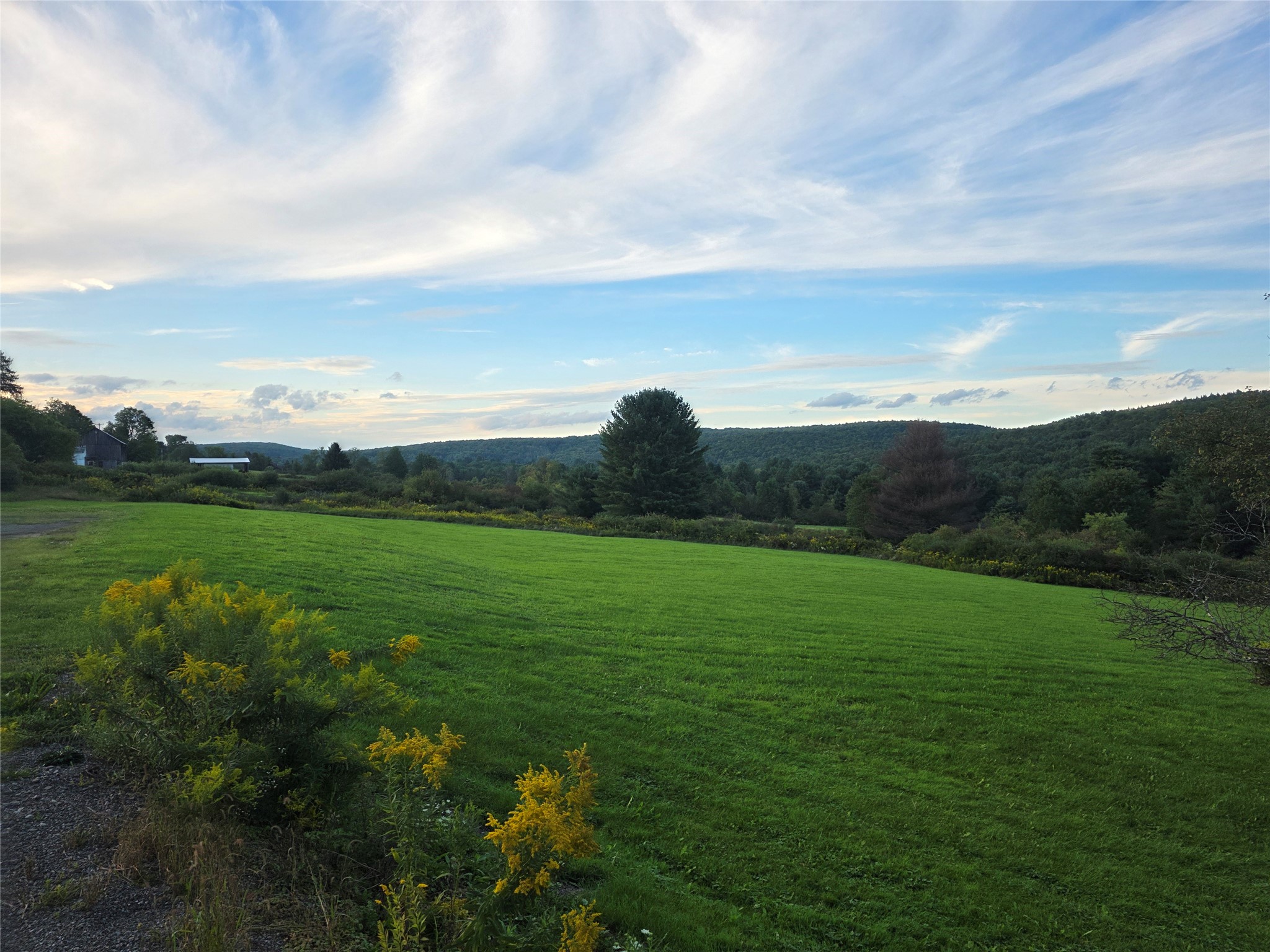248 County 1 Road Chenango Forks, NY 13746 - Photo 23 of 44 Gallery Image 23