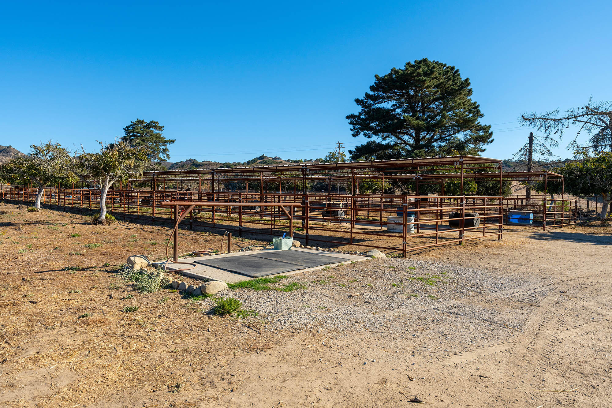 3290 Wild Oak Lompoc, CA 93436 - Photo 49 of 72 Horse corrals - 3290 Wild Oak Road 93436