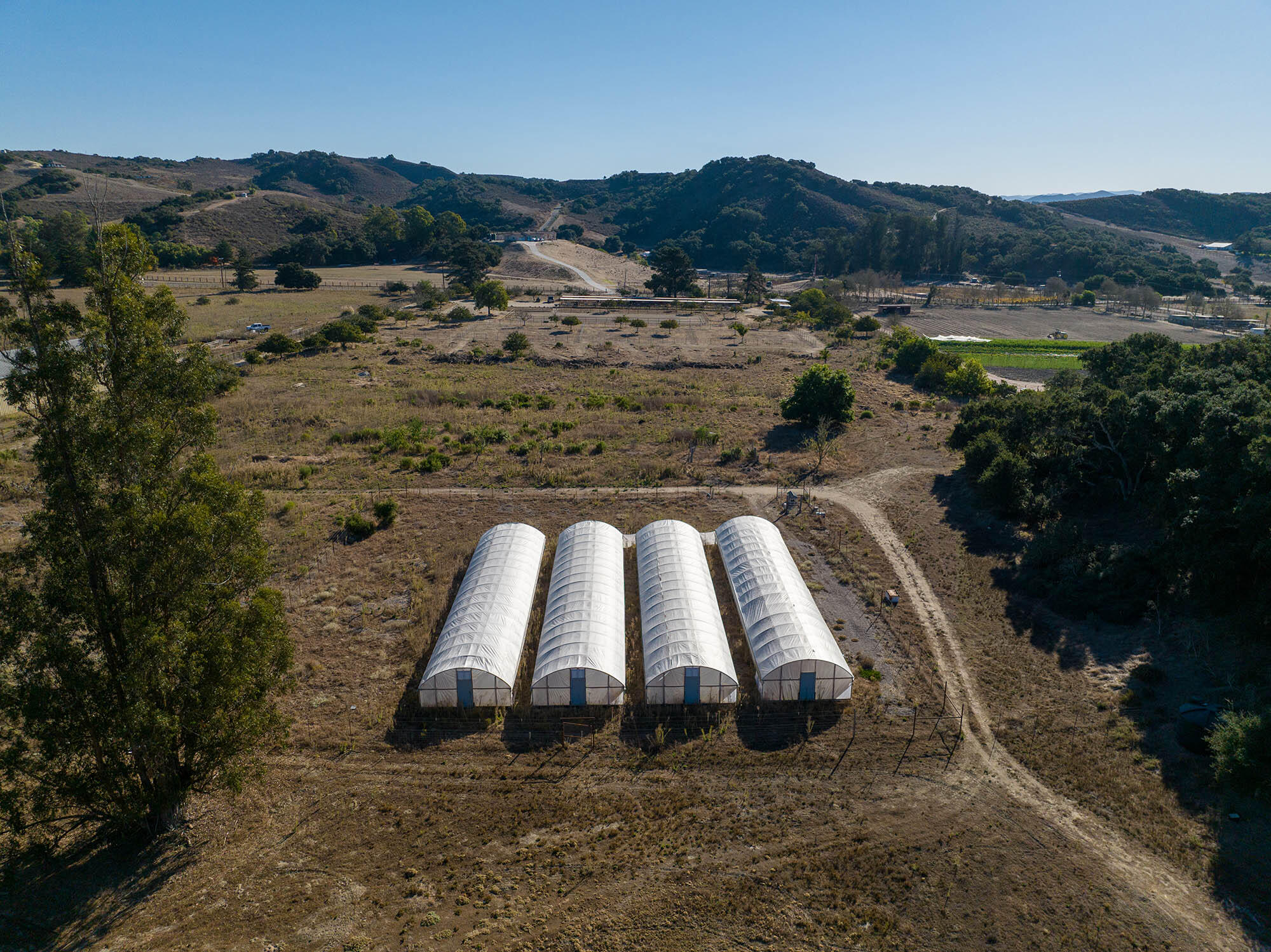 3290 Wild Oak Lompoc, CA 93436 - Photo 56 of 72 Vegitation tunnels - 3290 Wild Oak Road