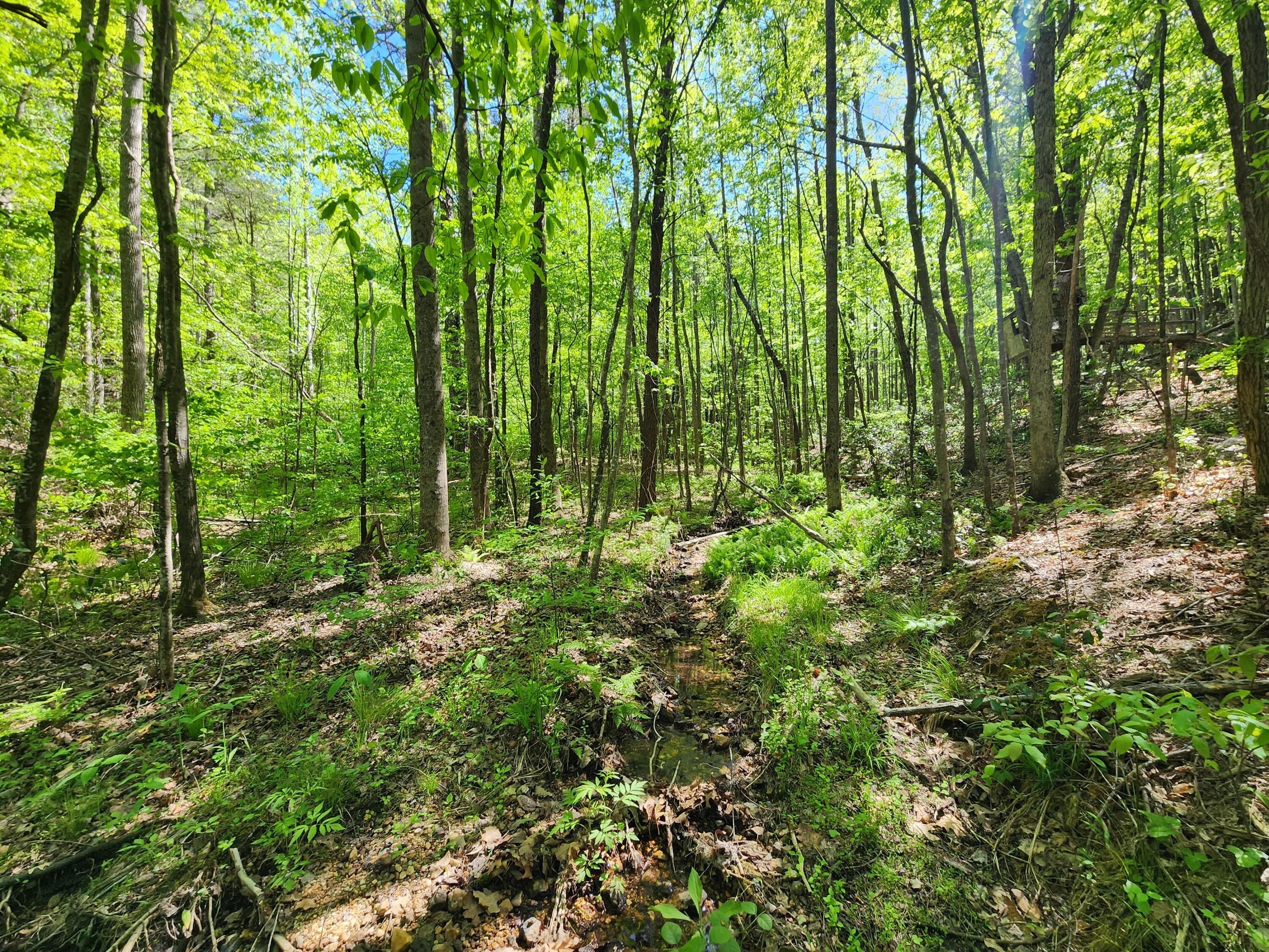 615 Faith Cove Road Sandy Level, VA 24161 - Photo 11 of 49 20240429_152525
