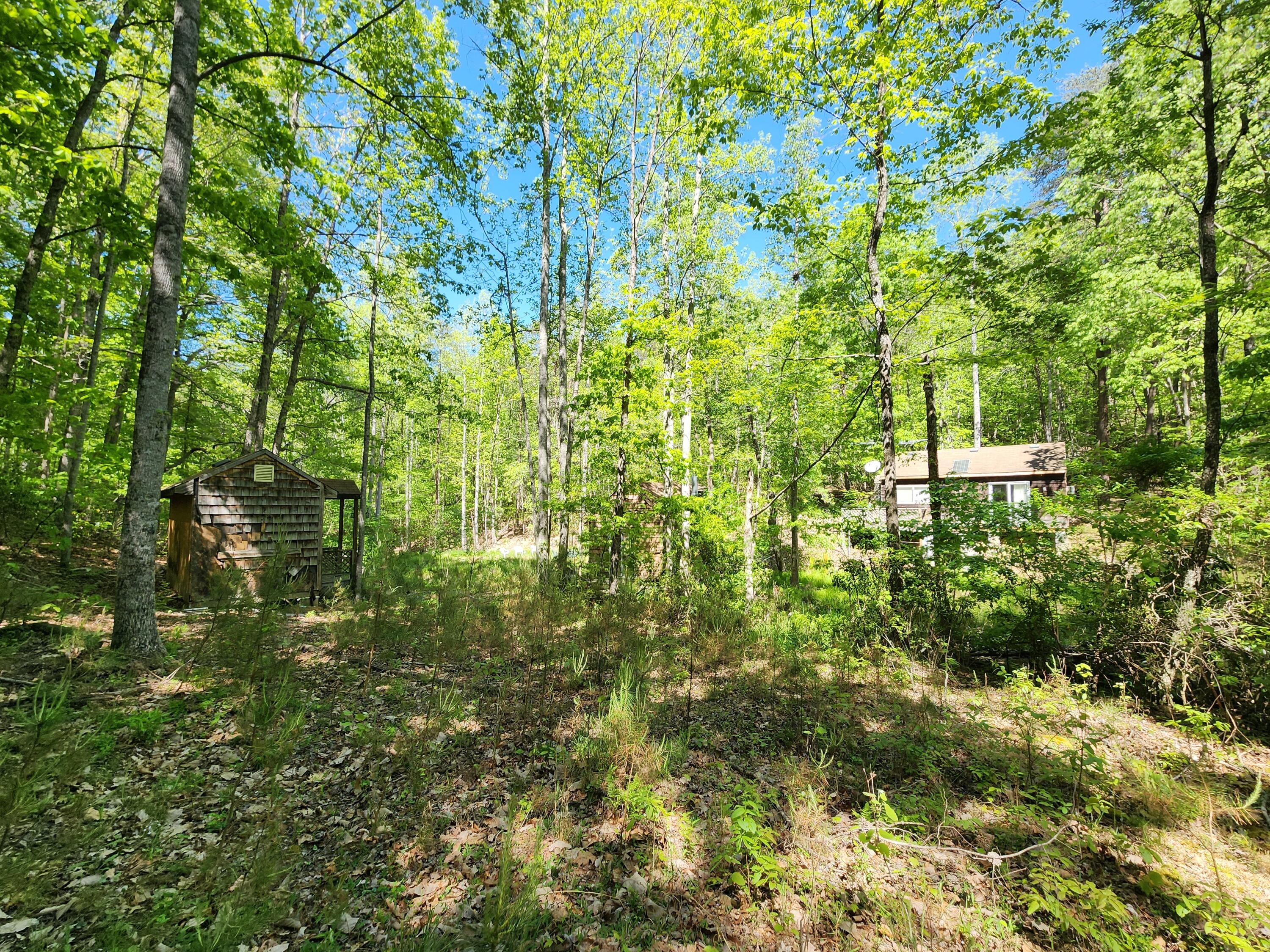 615 Faith Cove Road Sandy Level, VA 24161 - Photo 15 of 49 a backyard of a house with lots of plants and trees