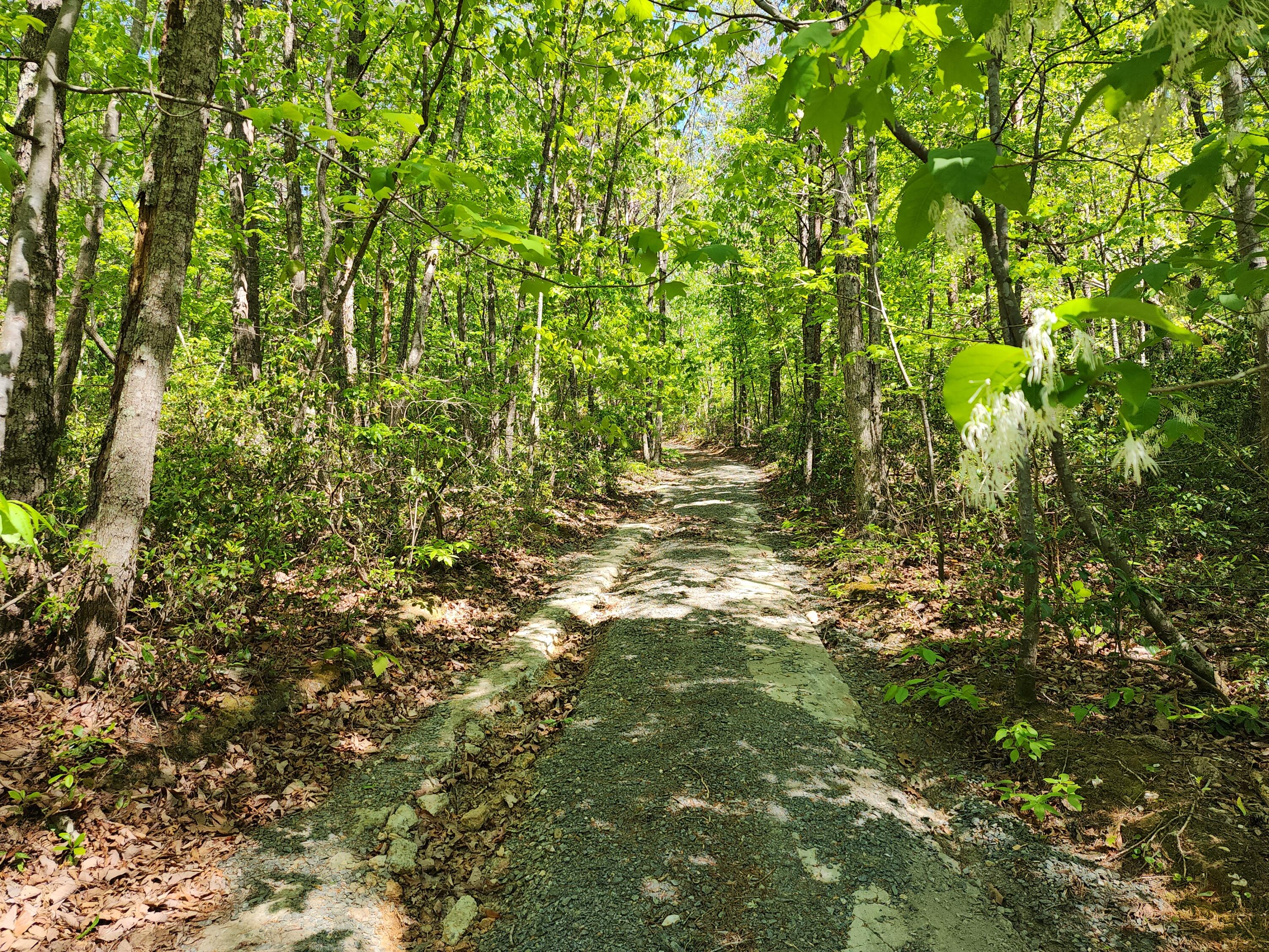 615 Faith Cove Road Sandy Level, VA 24161 - Photo 2 of 49 20240429_152939