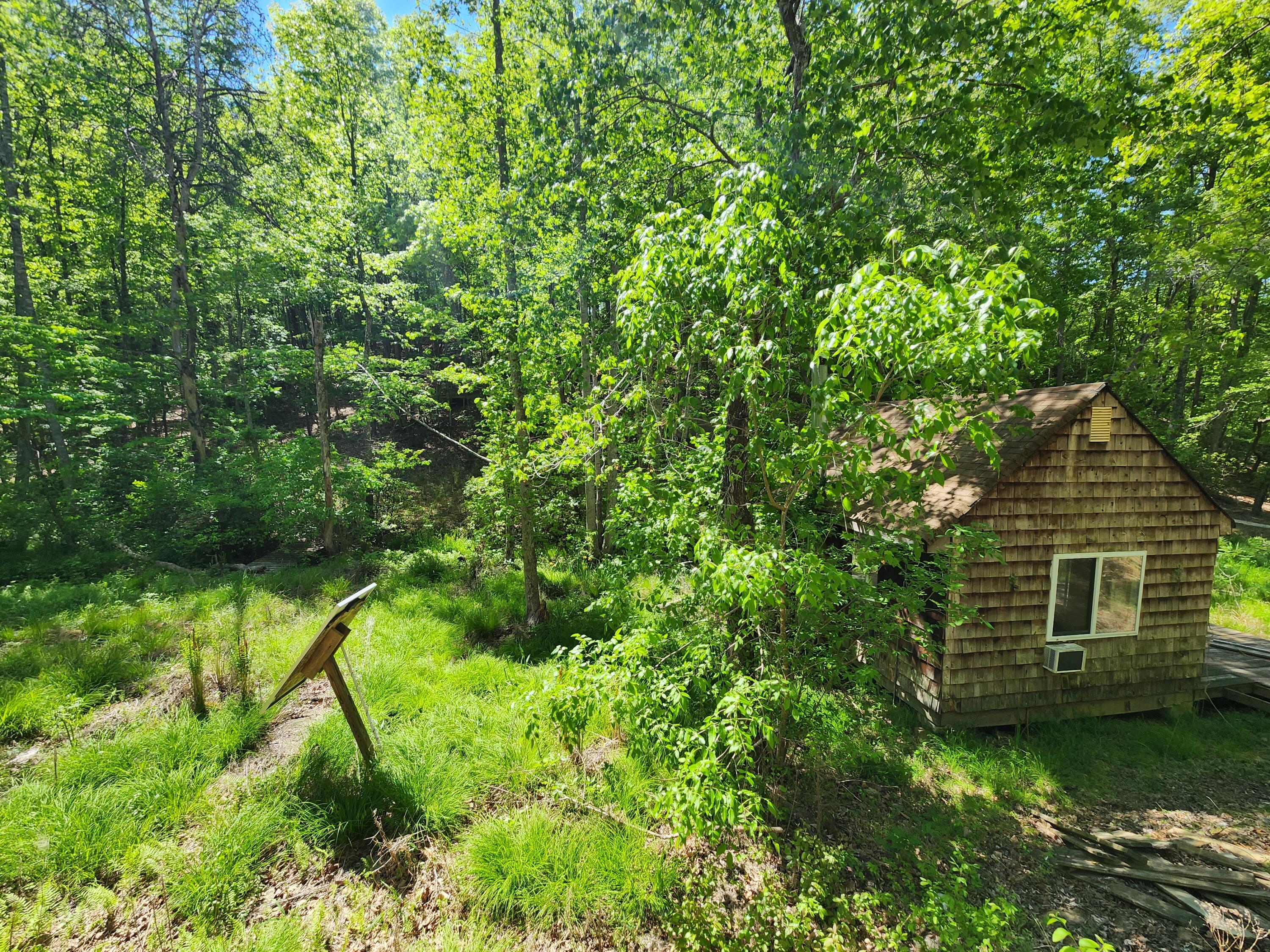 615 Faith Cove Road Sandy Level, VA 24161 - Photo 31 of 49 a backyard of a house with lots of green space