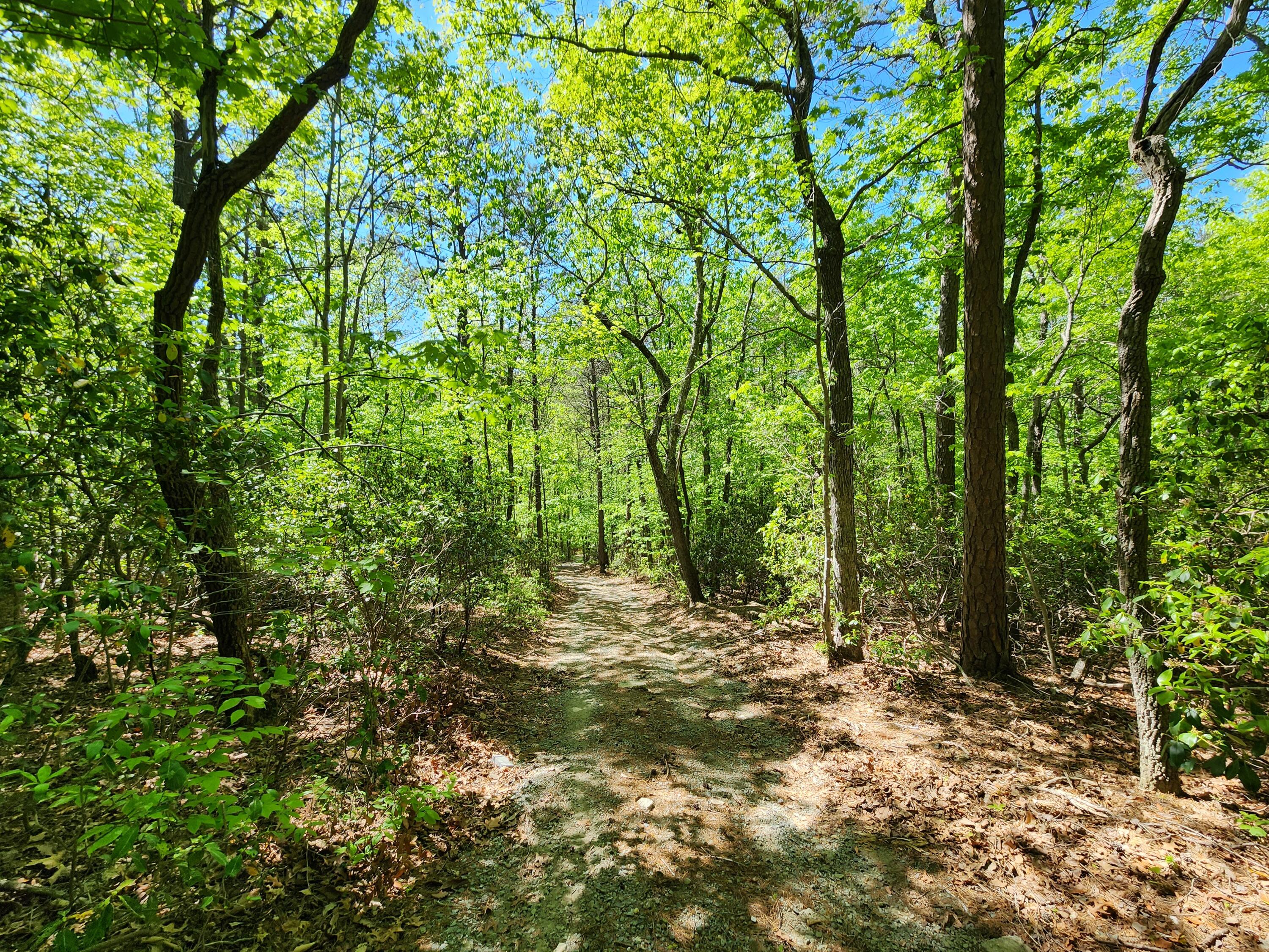615 Faith Cove Road Sandy Level, VA 24161 - Photo 34 of 49 20240429_151700
