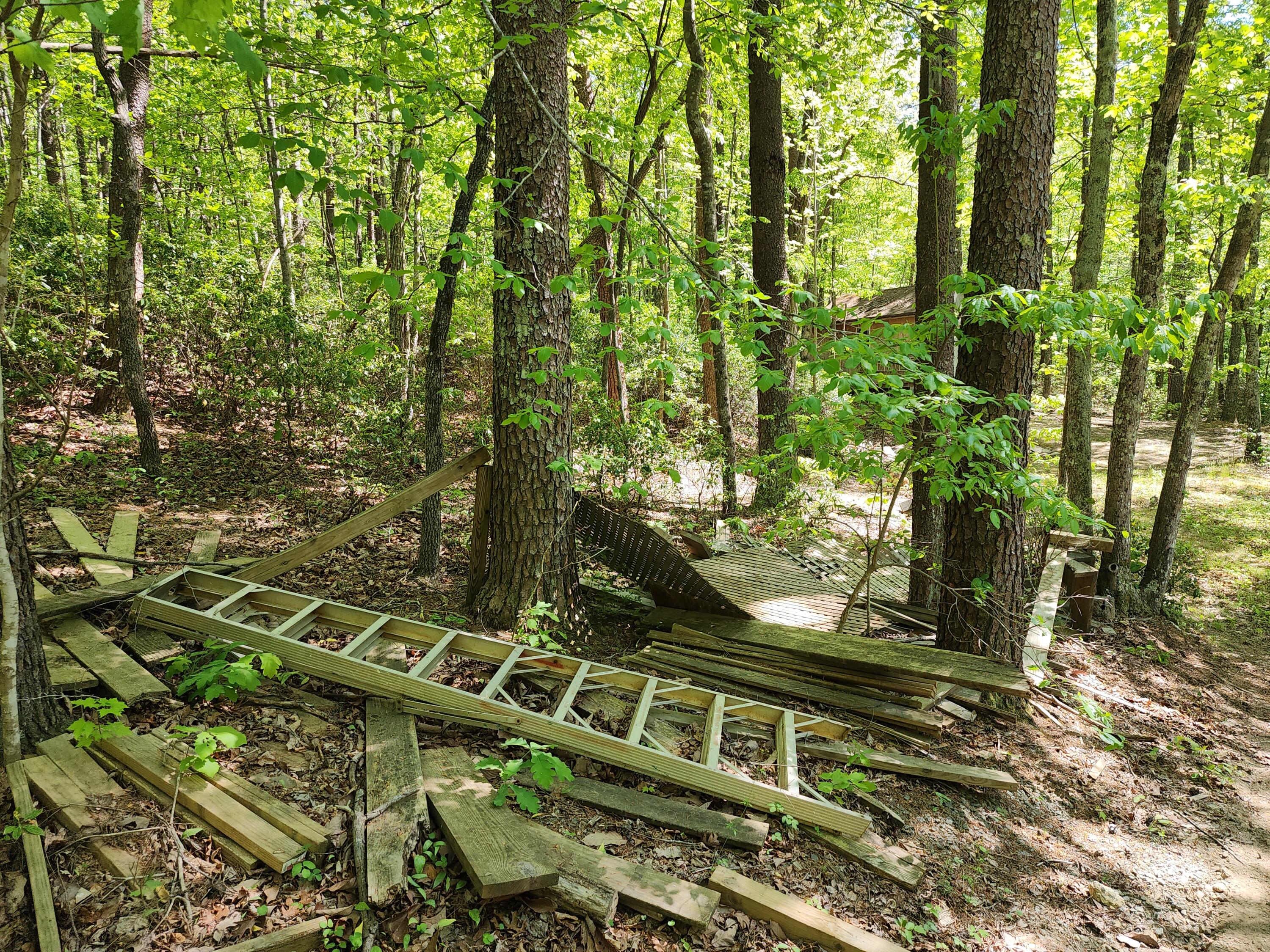 615 Faith Cove Road Sandy Level, VA 24161 - Photo 45 of 49 20240429_152930