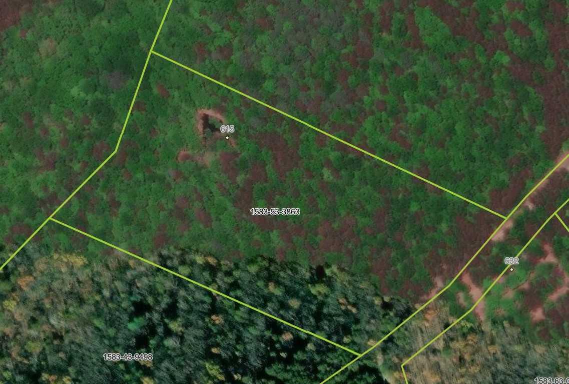 615 Faith Cove Road Sandy Level, VA 24161 - Photo 49 of 49 Off Grid Leesville Lake