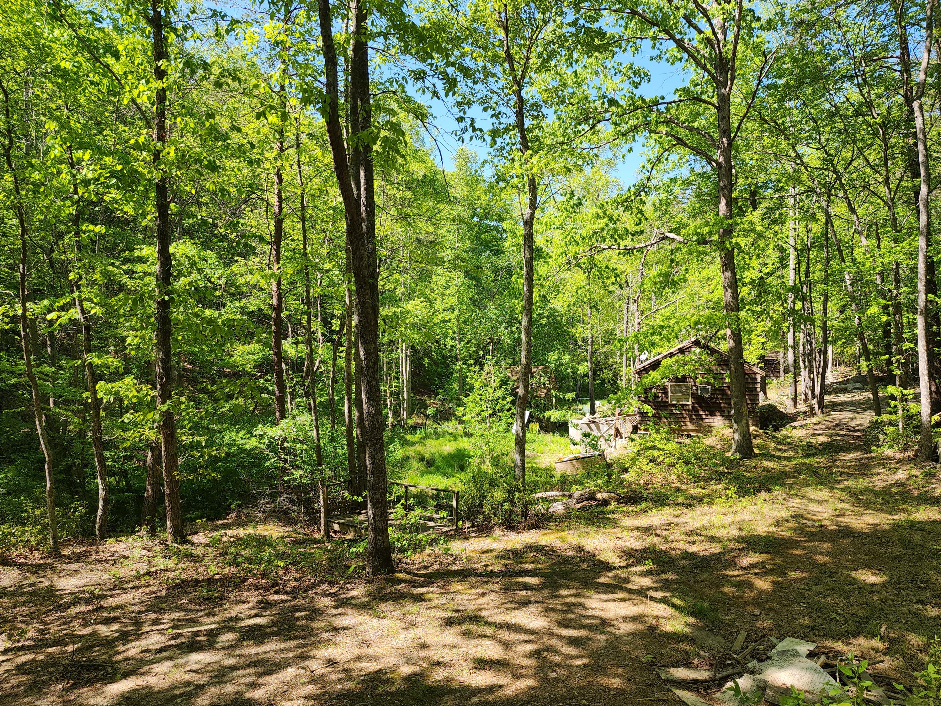 615 Faith Cove Road Sandy Level, VA 24161 - Photo 5 of 49 a backyard of a house with lots of green space