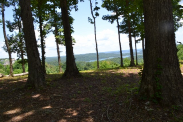 0 Rock Fish Road East Celina, TN 38551 - Photo 13 of 27
