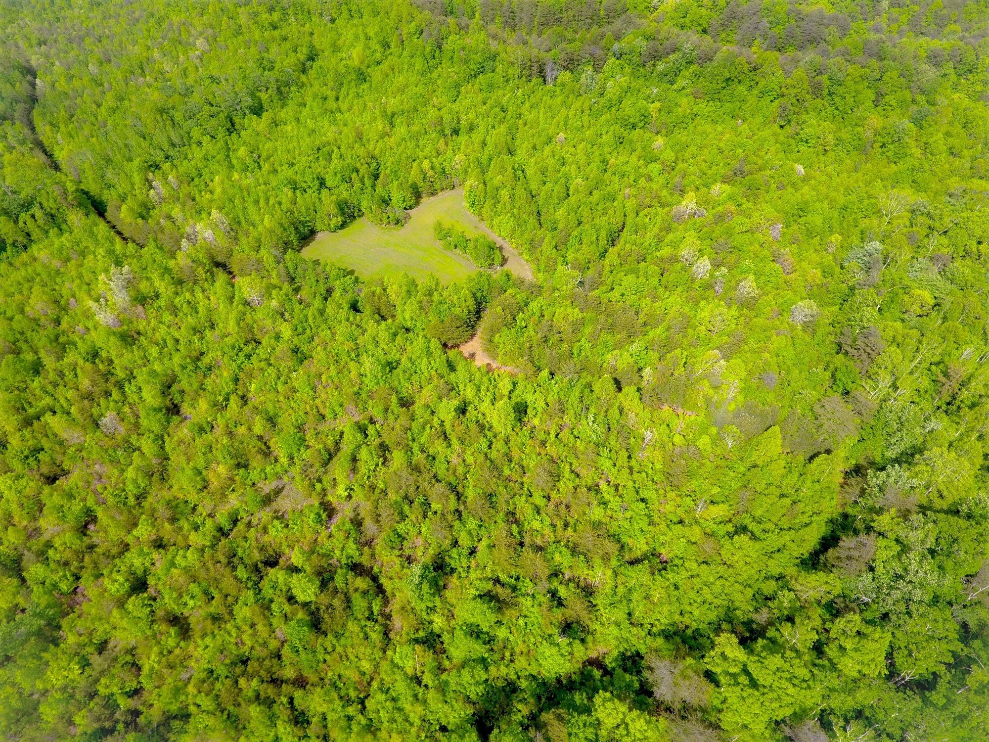 1 Palmer Firetower Road Palmer, TN 37365 - Photo 1 of 70 Gallery Image 1