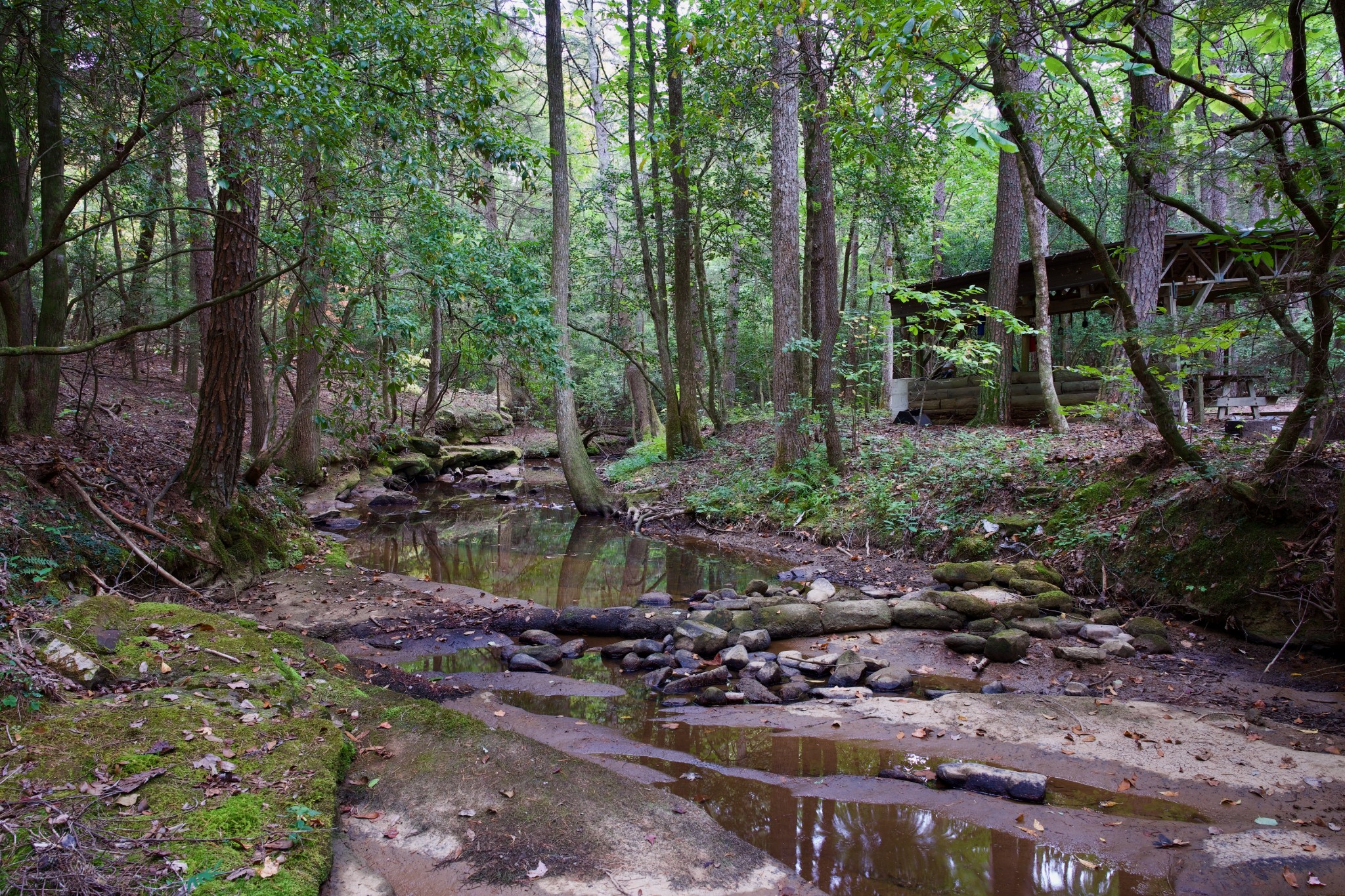 1 Palmer Firetower Road Palmer, TN 37365 - Photo 11 of 70 Gallery Image 11