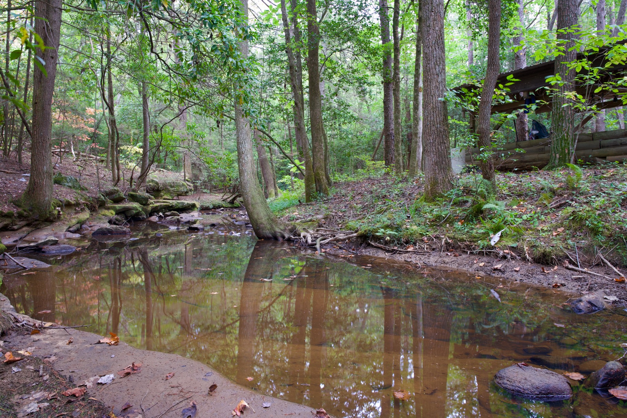 1 Palmer Firetower Road Palmer, TN 37365 - Photo 12 of 70 Gallery Image 12