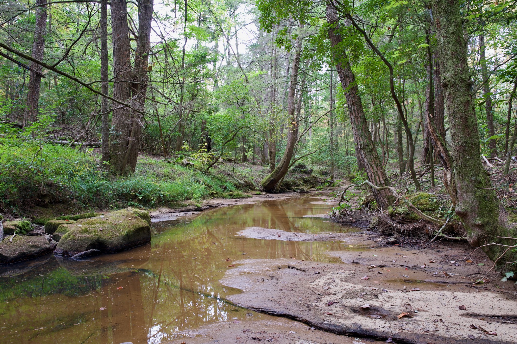 1 Palmer Firetower Road Palmer, TN 37365 - Photo 13 of 70 Gallery Image 13