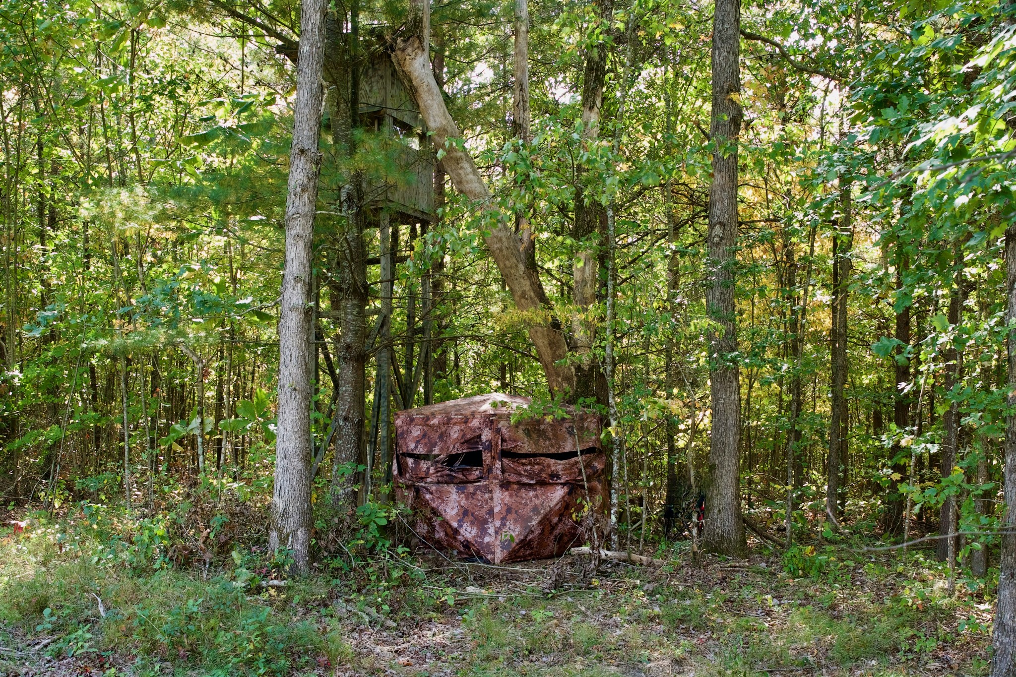 1 Palmer Firetower Road Palmer, TN 37365 - Photo 20 of 70 Gallery Image 20