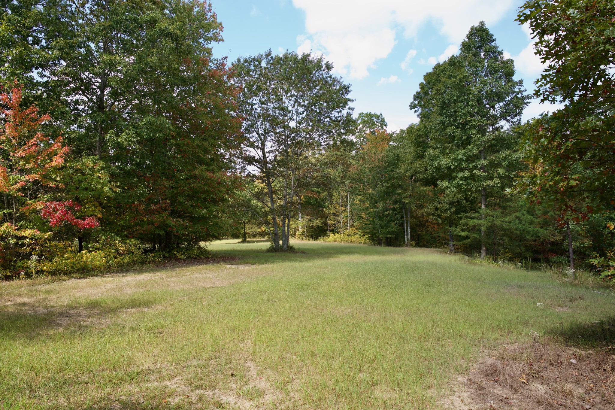 1 Palmer Firetower Road Palmer, TN 37365 - Photo 2 of 70 Gallery Image 2